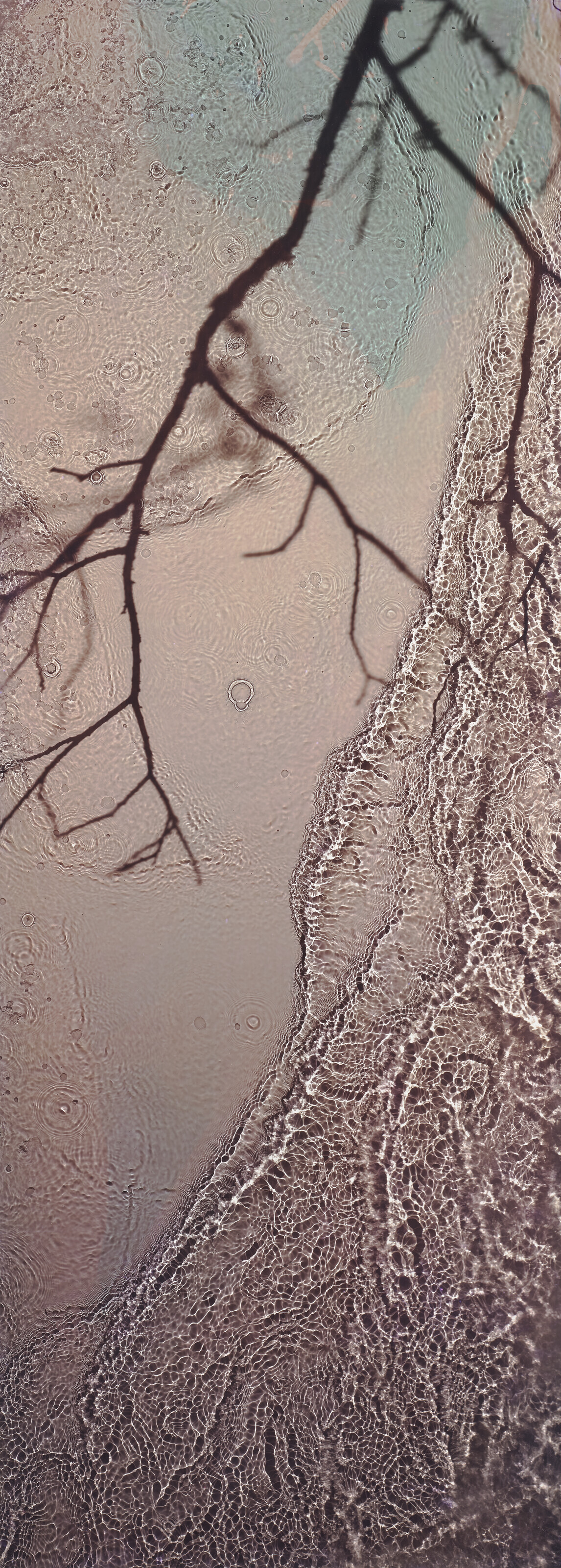 Catalog image of River Taw, 1998