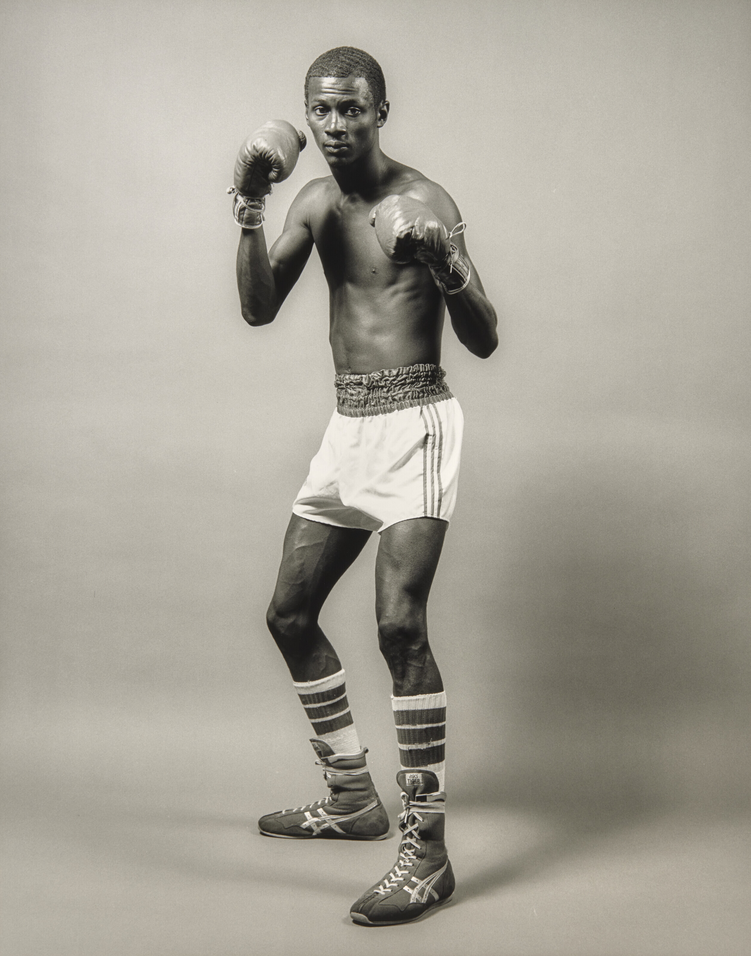 mapplethorpe カレンダー MAPR23140-copy.jpg?mtime=