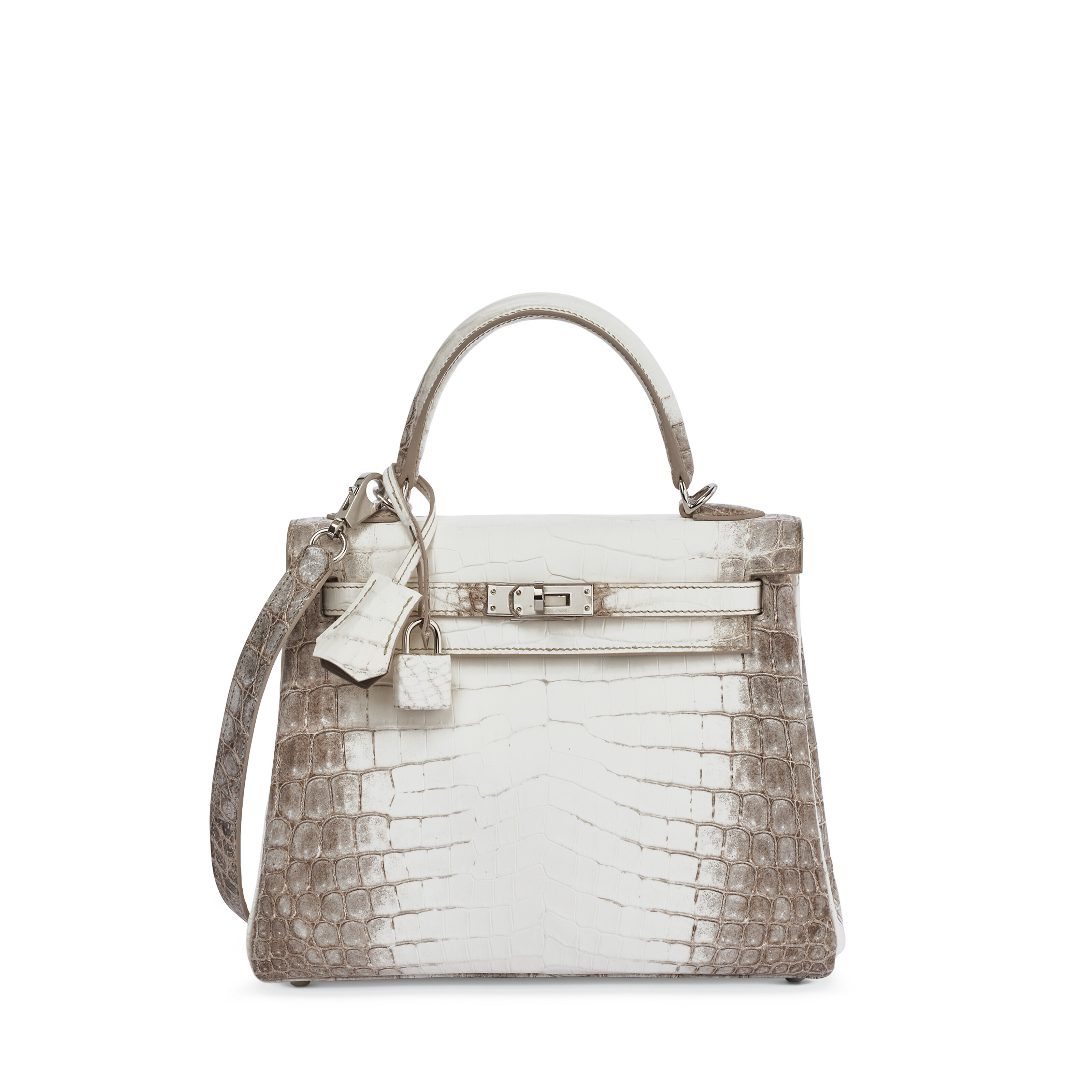 Niloticus crocodile retourné himalaya kelly bag top