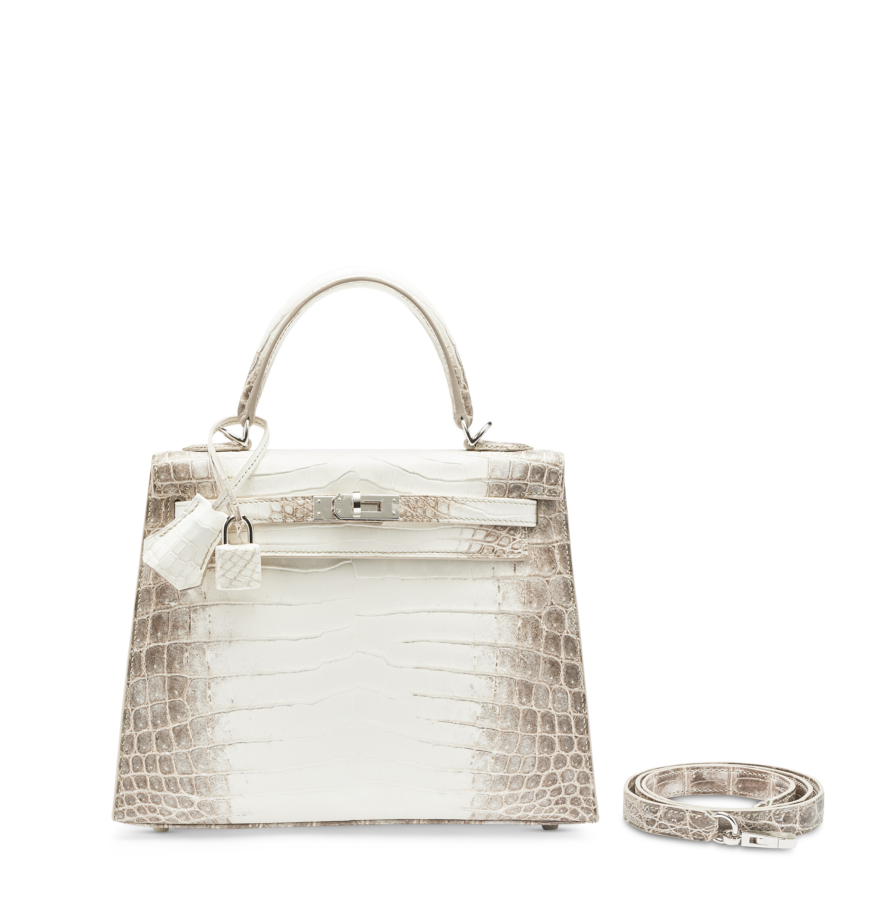 Himalayan sale kelly price
