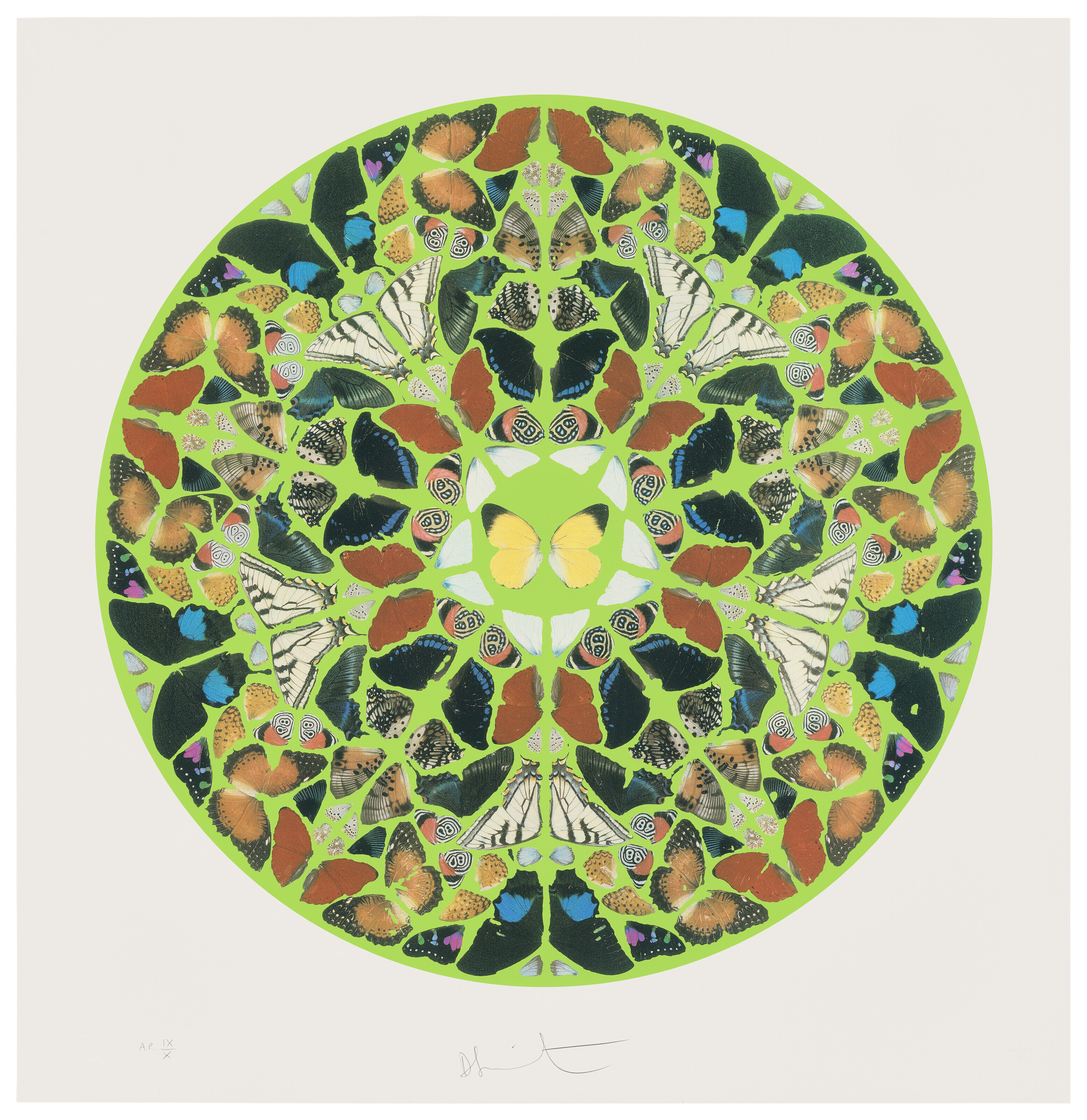 Catalog image of Psalm Print: Domini est terra