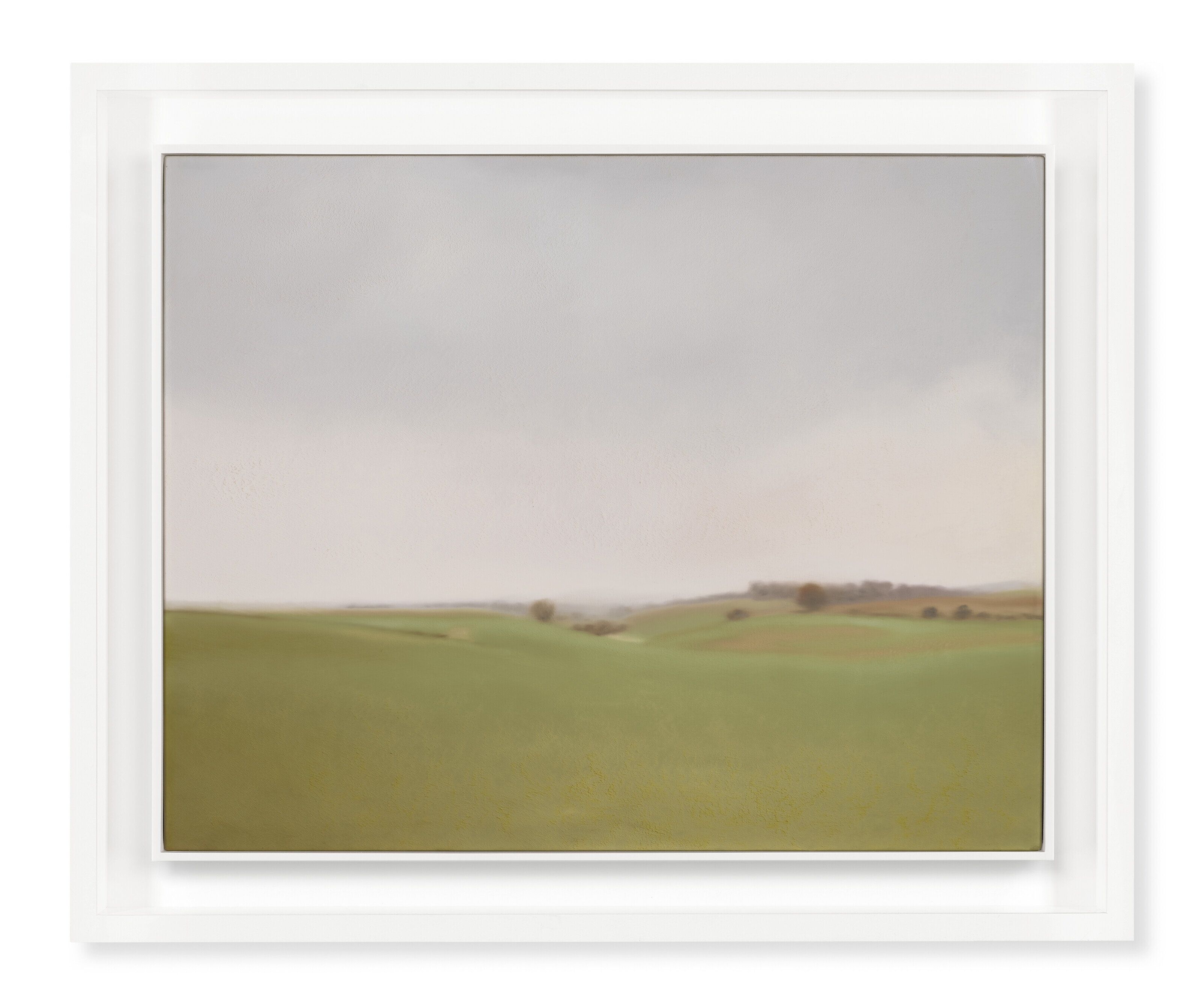 Gerhard Richter (b. 1932), Gr&uuml;nes Feld (Green Field), 1969. Oil on canvas. 39 x 49&frac14; in (99 x 125 cm)