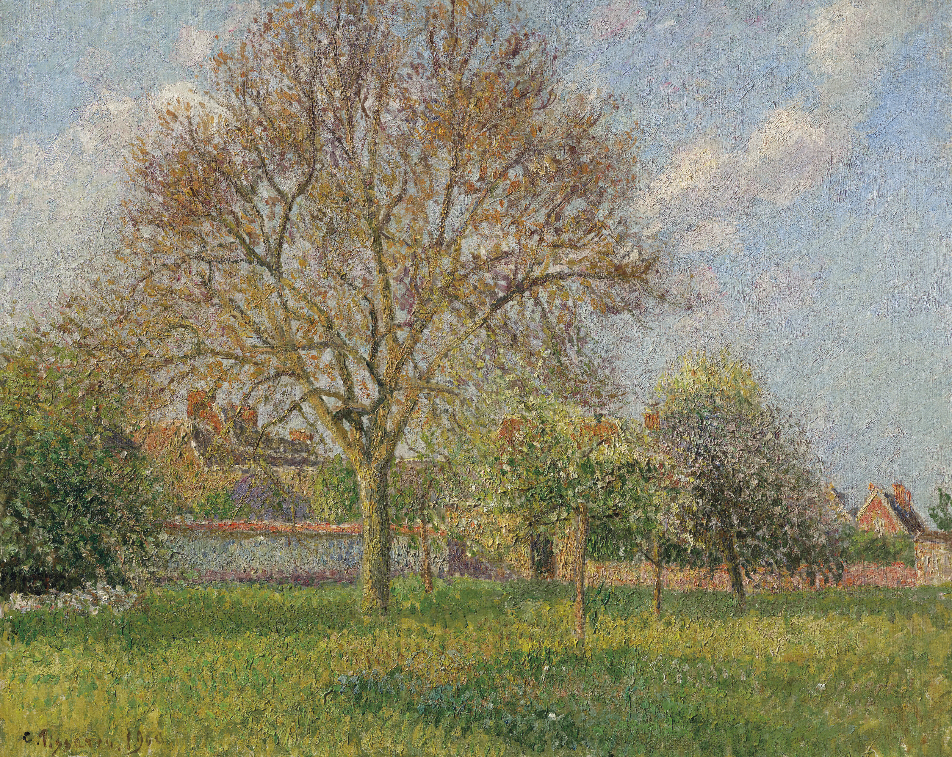 Le grand noyer à Éragny, après-midi