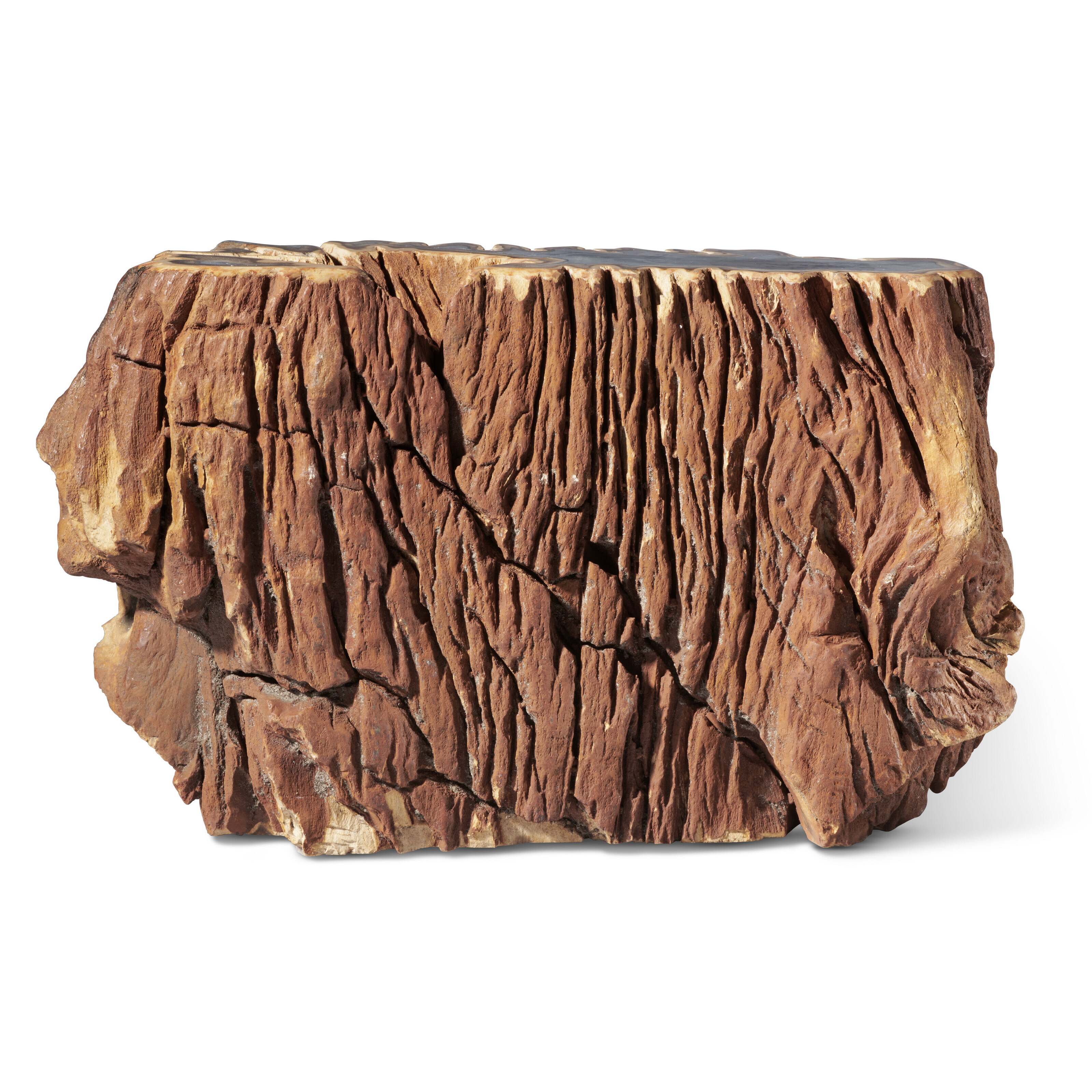 PETRIFIED WOOD TRUNK, Oregon, USA | Christie's