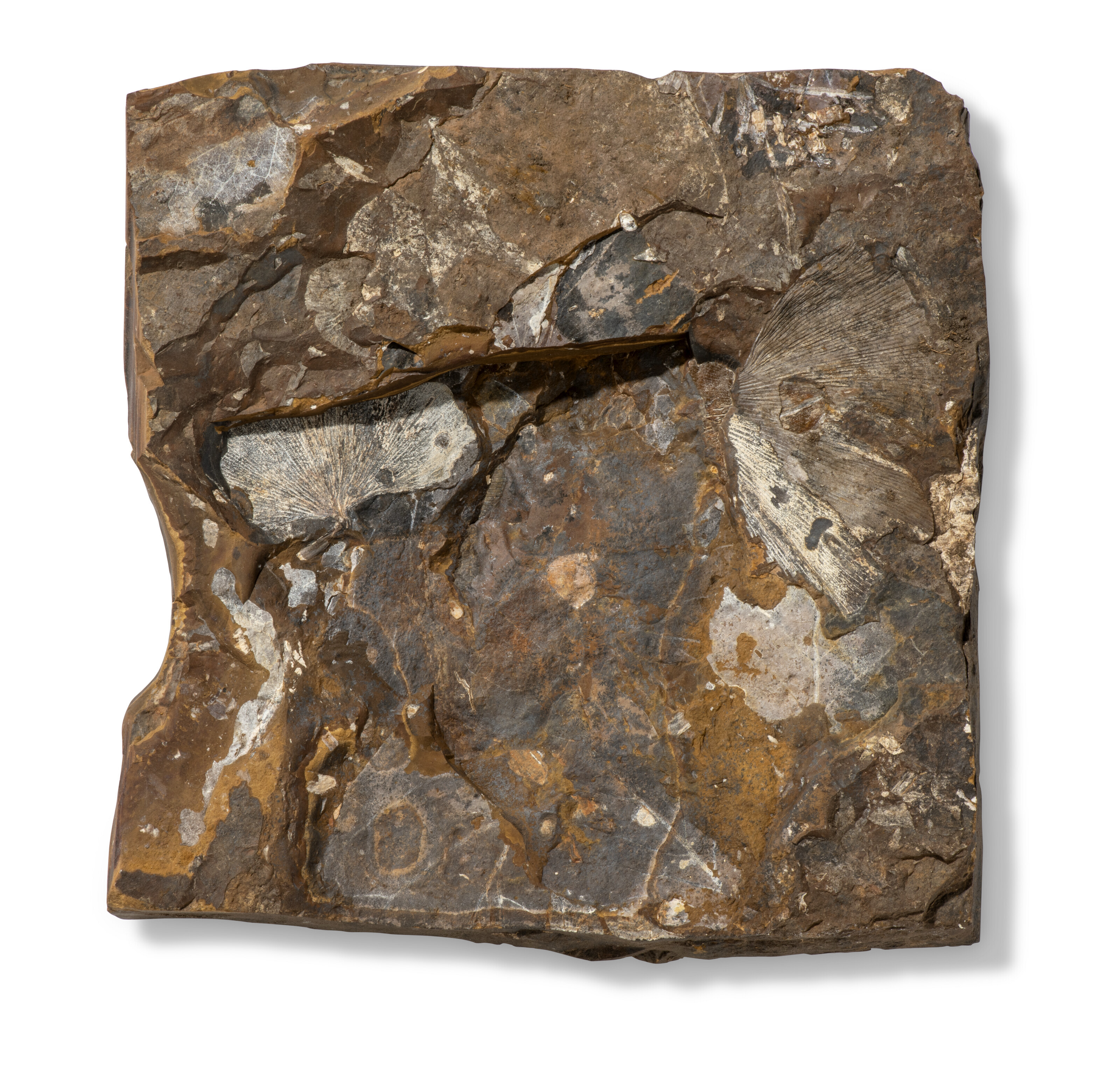 2023_CKS_21895_0020_001(