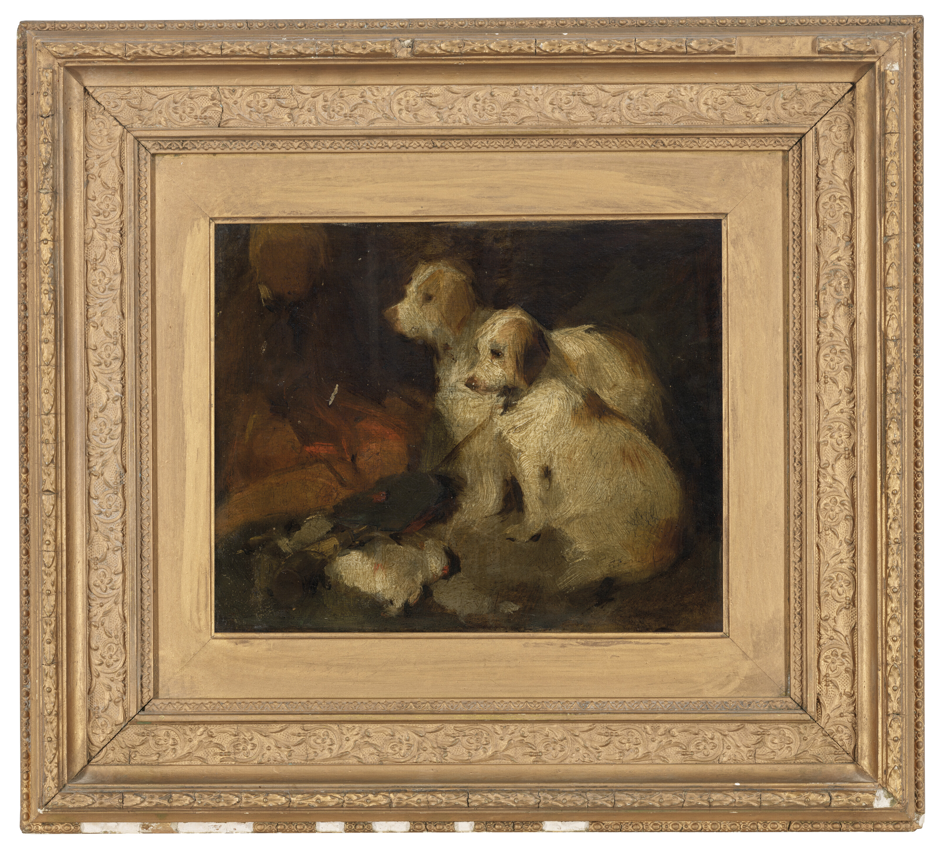Study of two dogs