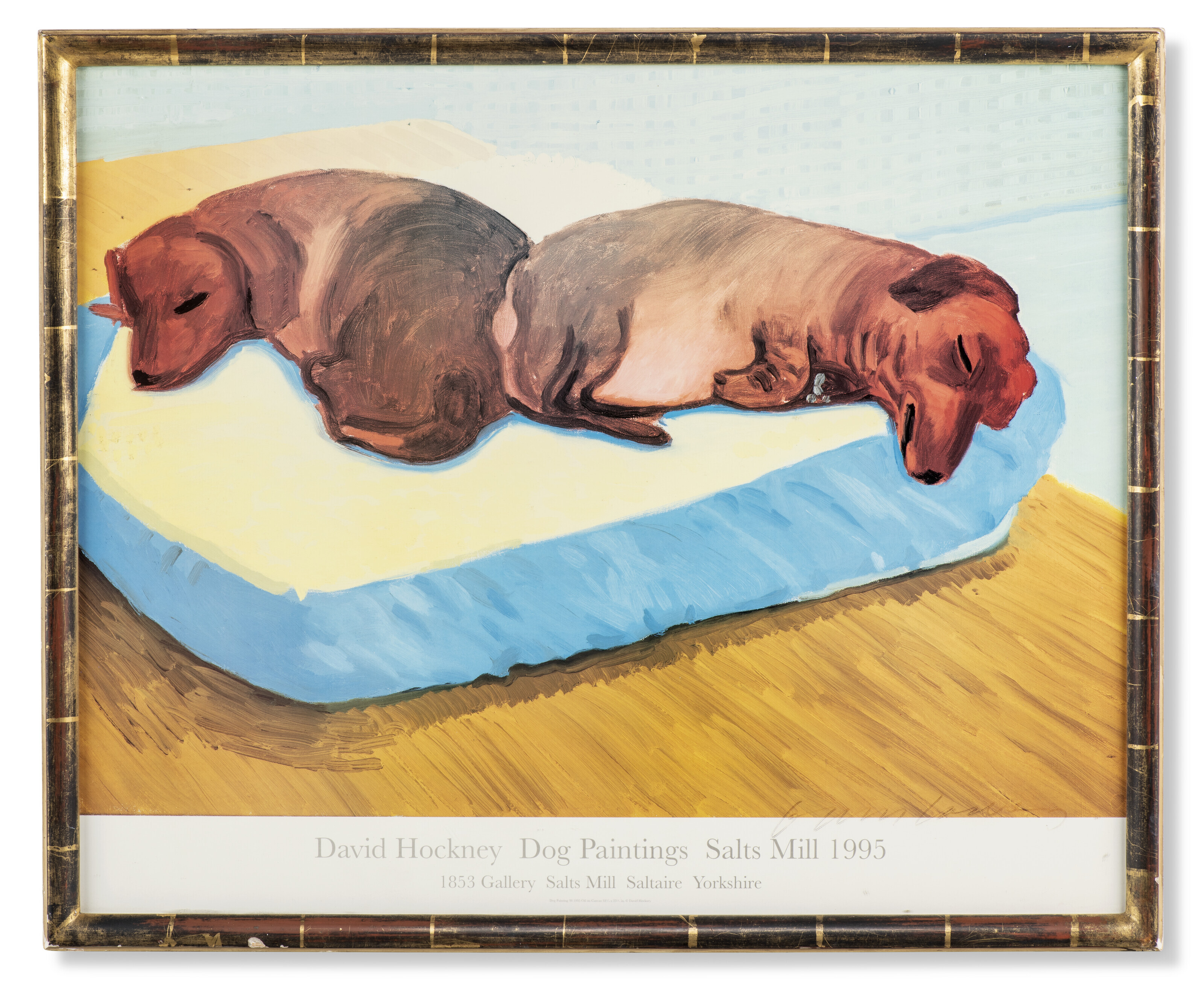 David hotsell hockney dog