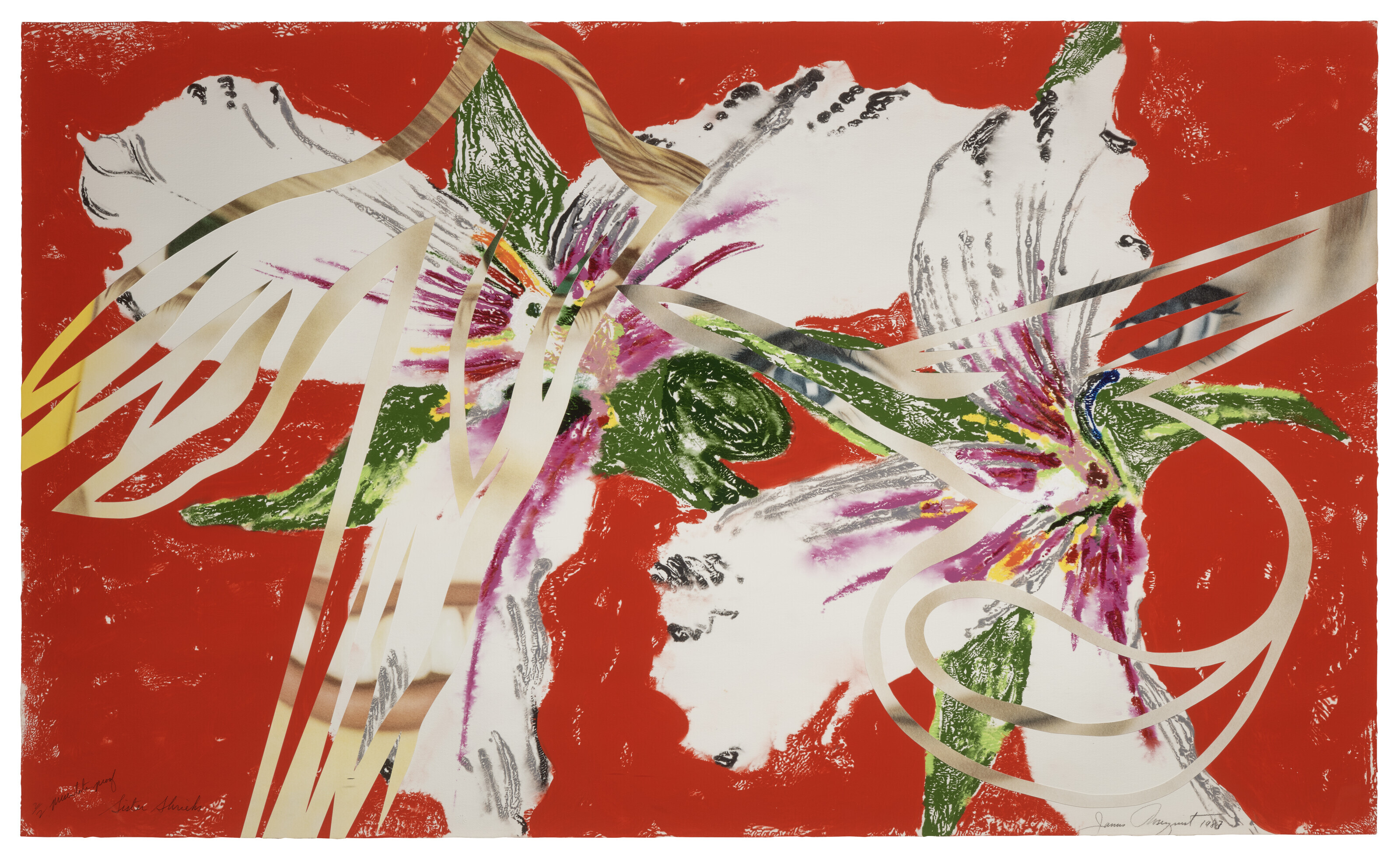 Catalog image of Sister Shrieks, from: Secrets in Carnations