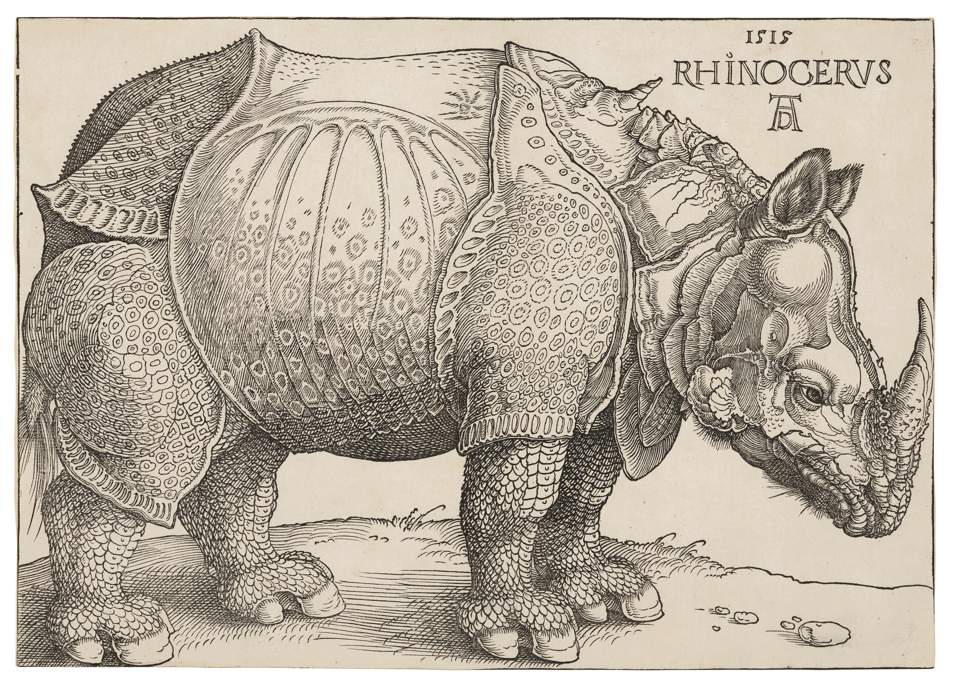 Albrecht Durer, Rhinoceros, 1515, sold for £604,800 on 13 October 2023 at Christie's in London