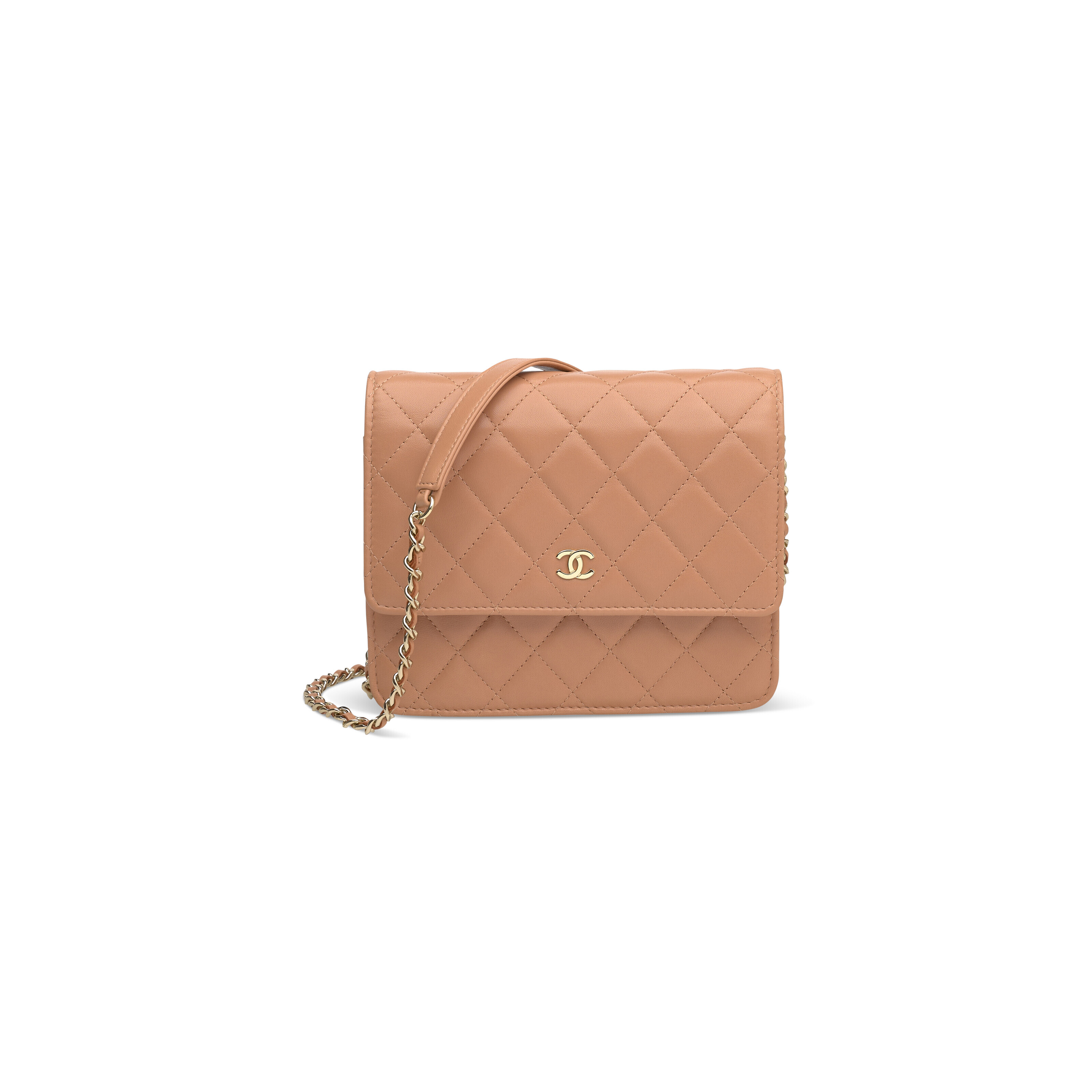 AUTH NEW 2020 Chanel Circular Mini Square Caviar WOC Wallet on Chain GHW  Bag  eBay