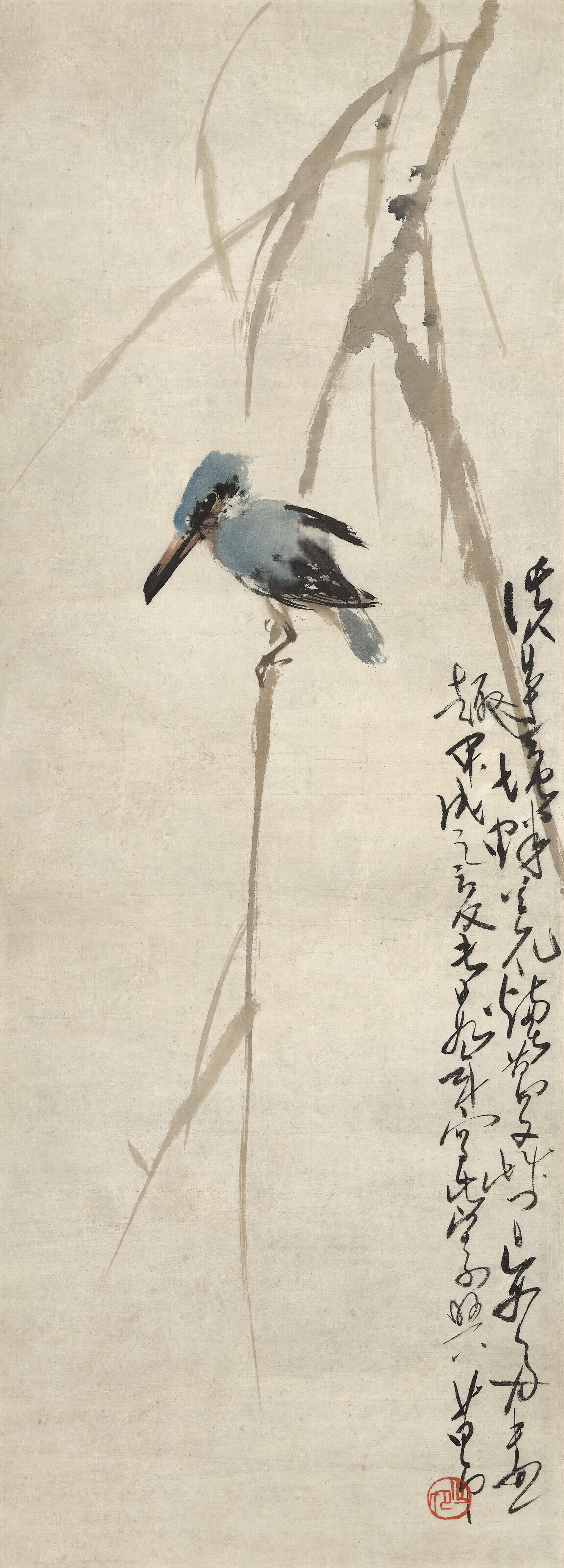 Catalog image of Bird on Branch