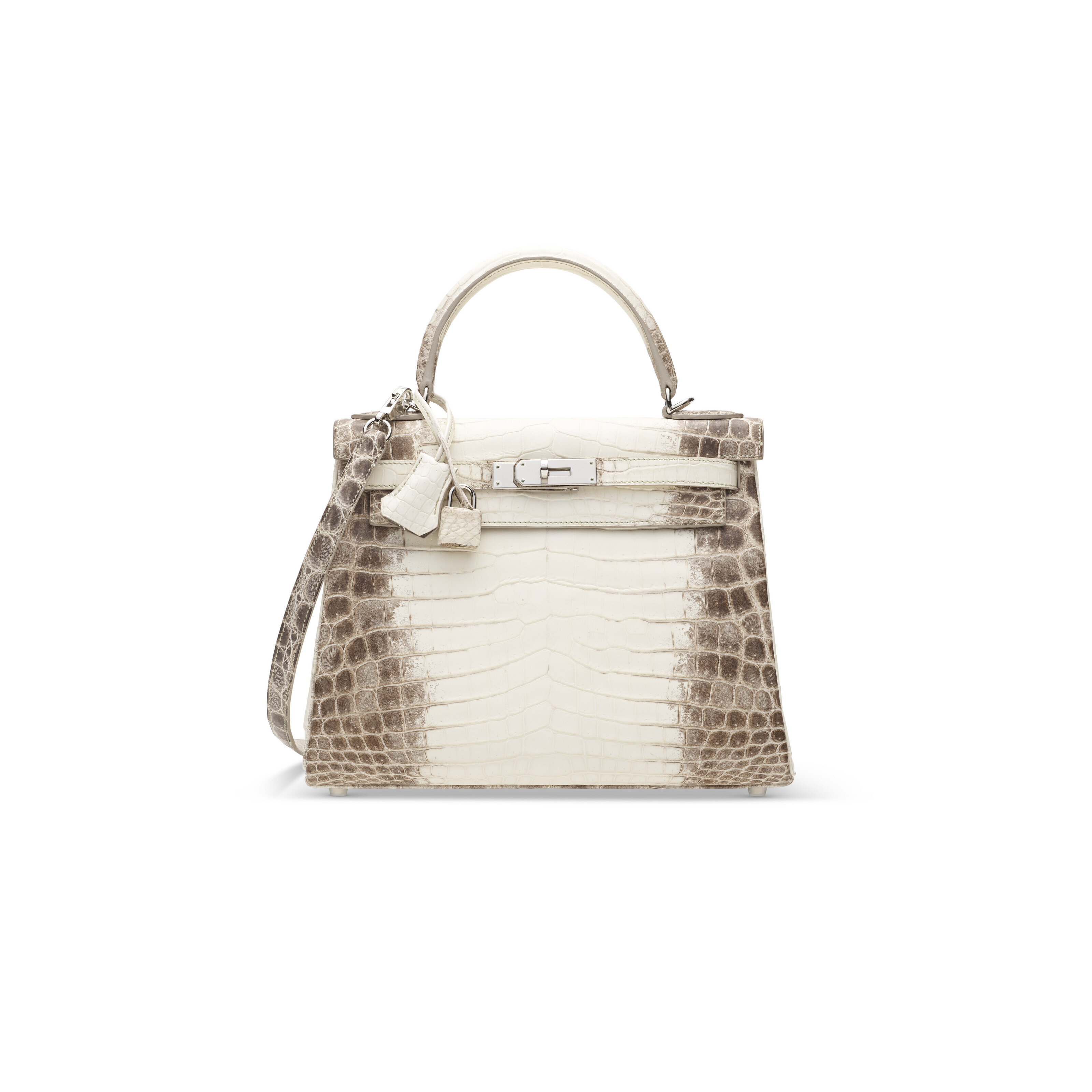 Hermes Birkin 30 Bag Diamond Himalaya Blanc Matte in Niloticus