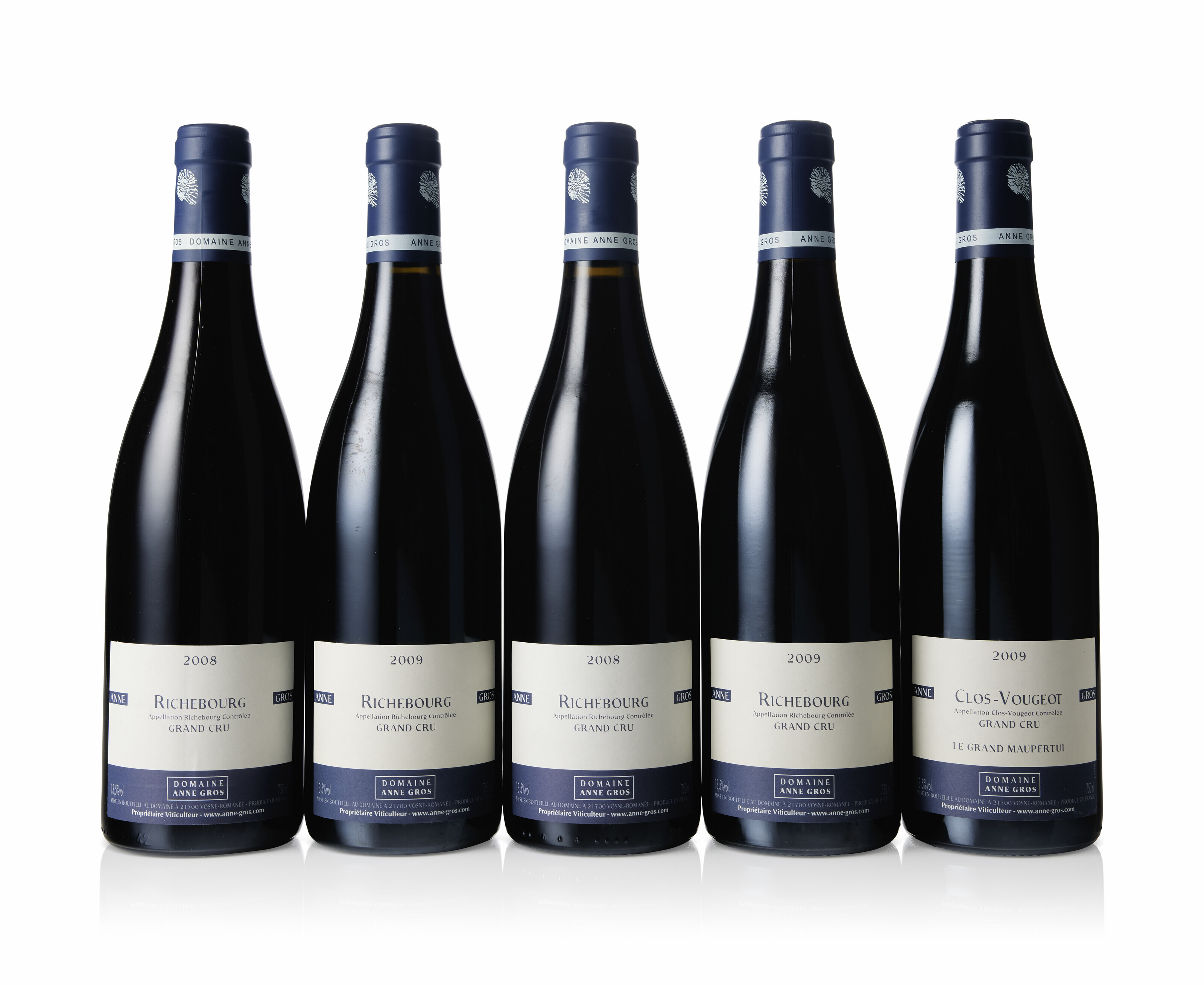 Mixed Domaine Anne Gros 2008 & 2009, Richebourg 2008 (1)2009 (3