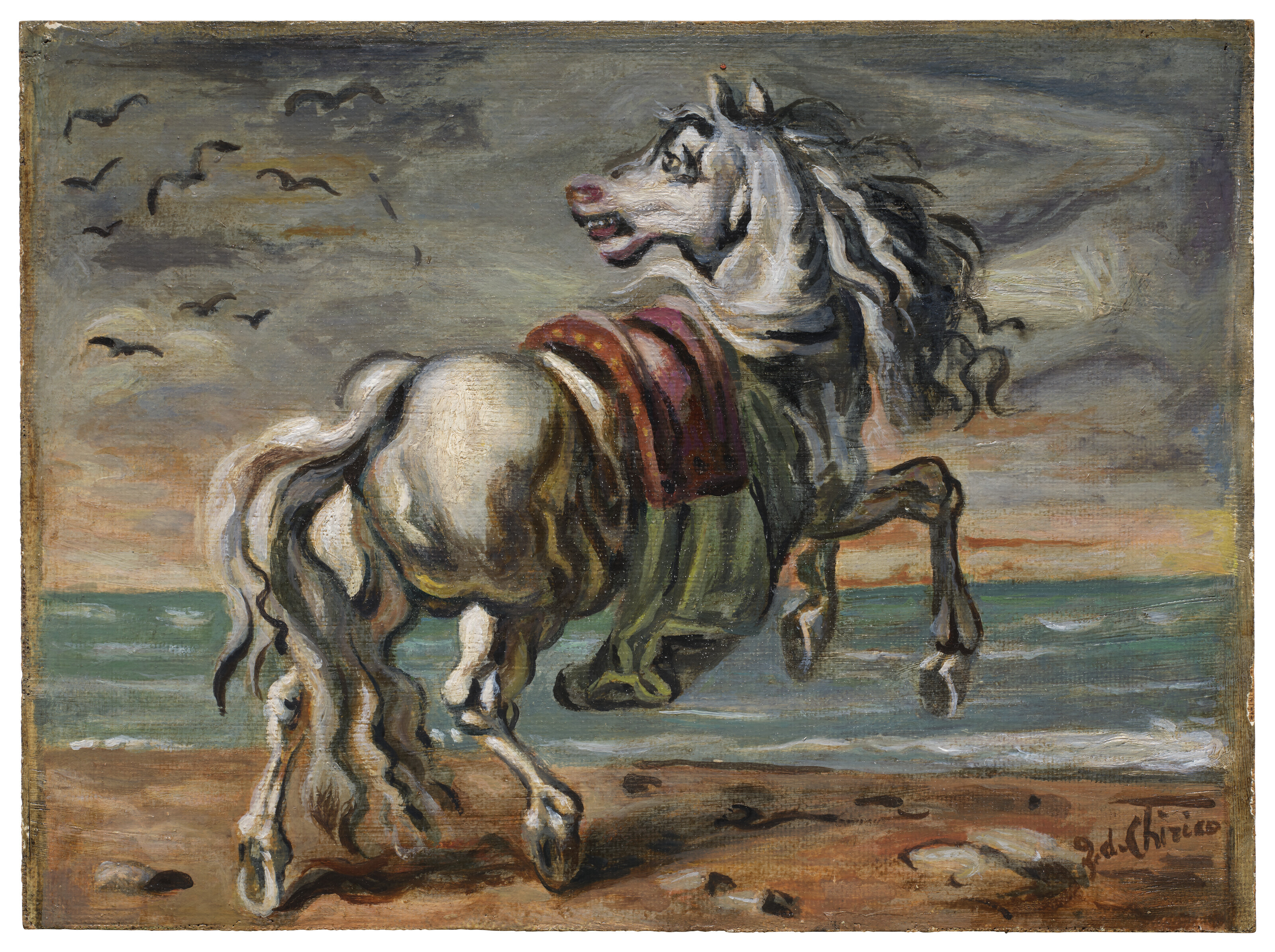 Cavallo in riva al mare
