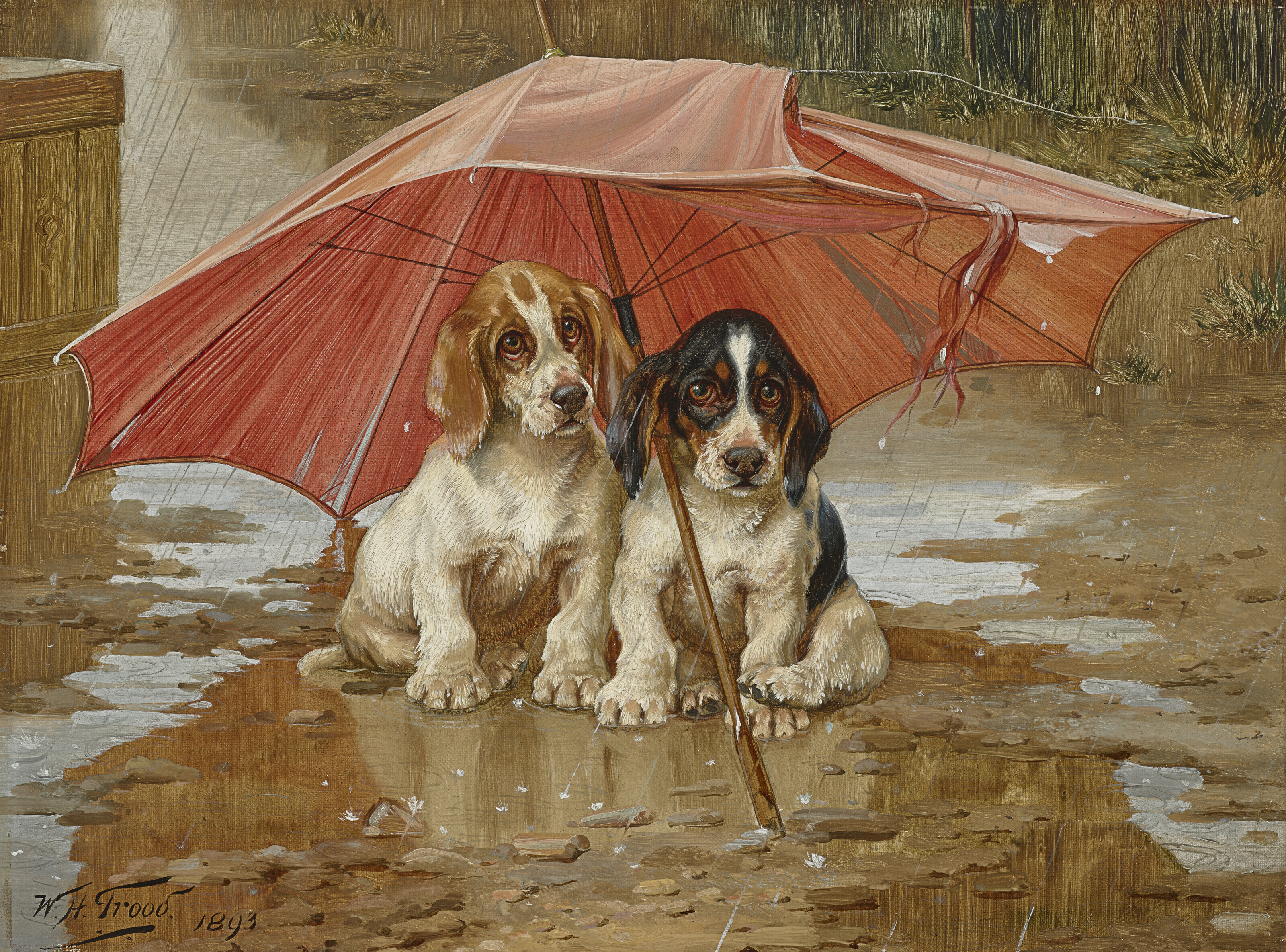 Catalog image of Wait Till the Clouds Roll By