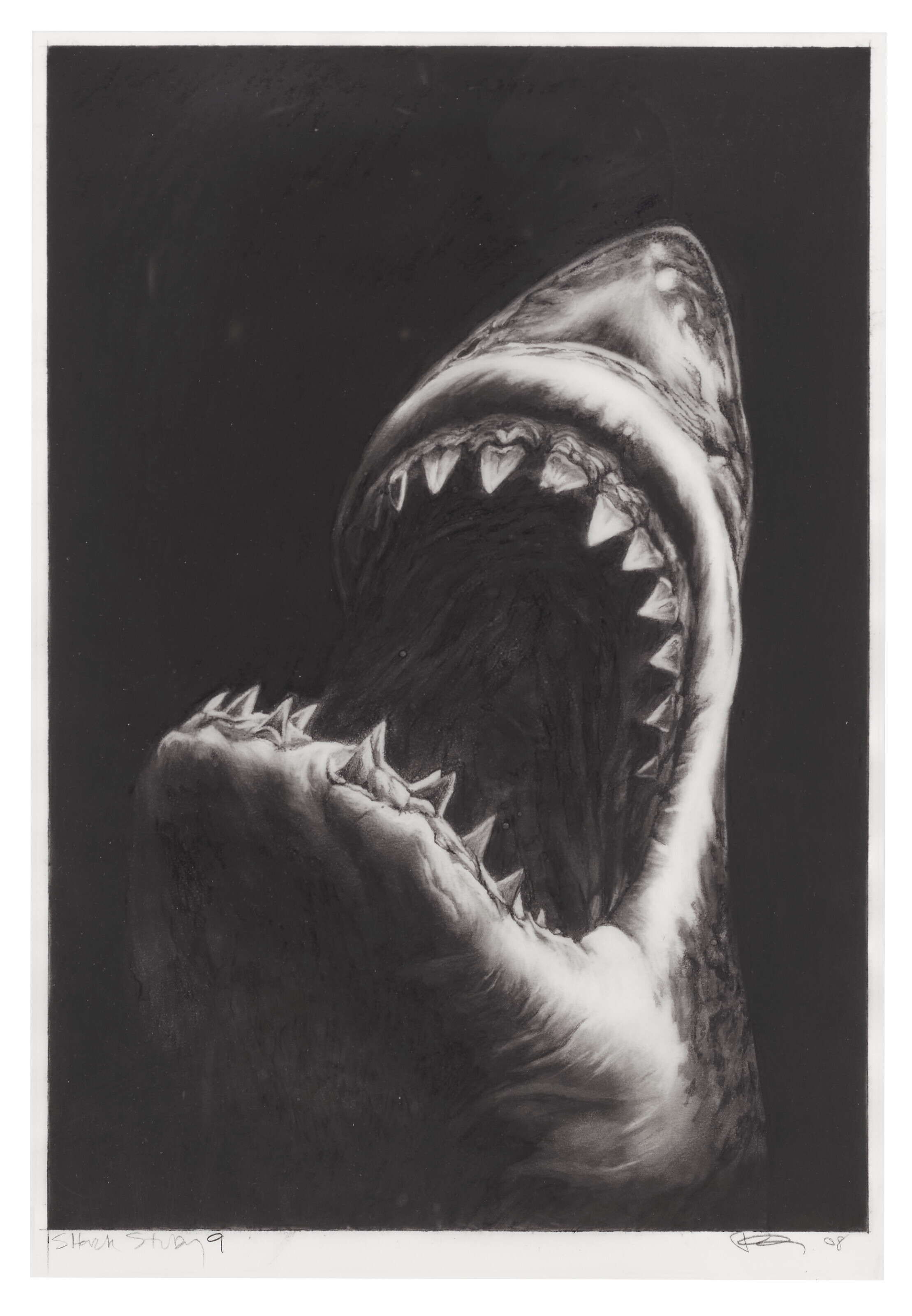 Catalog image of Shark Study 9
