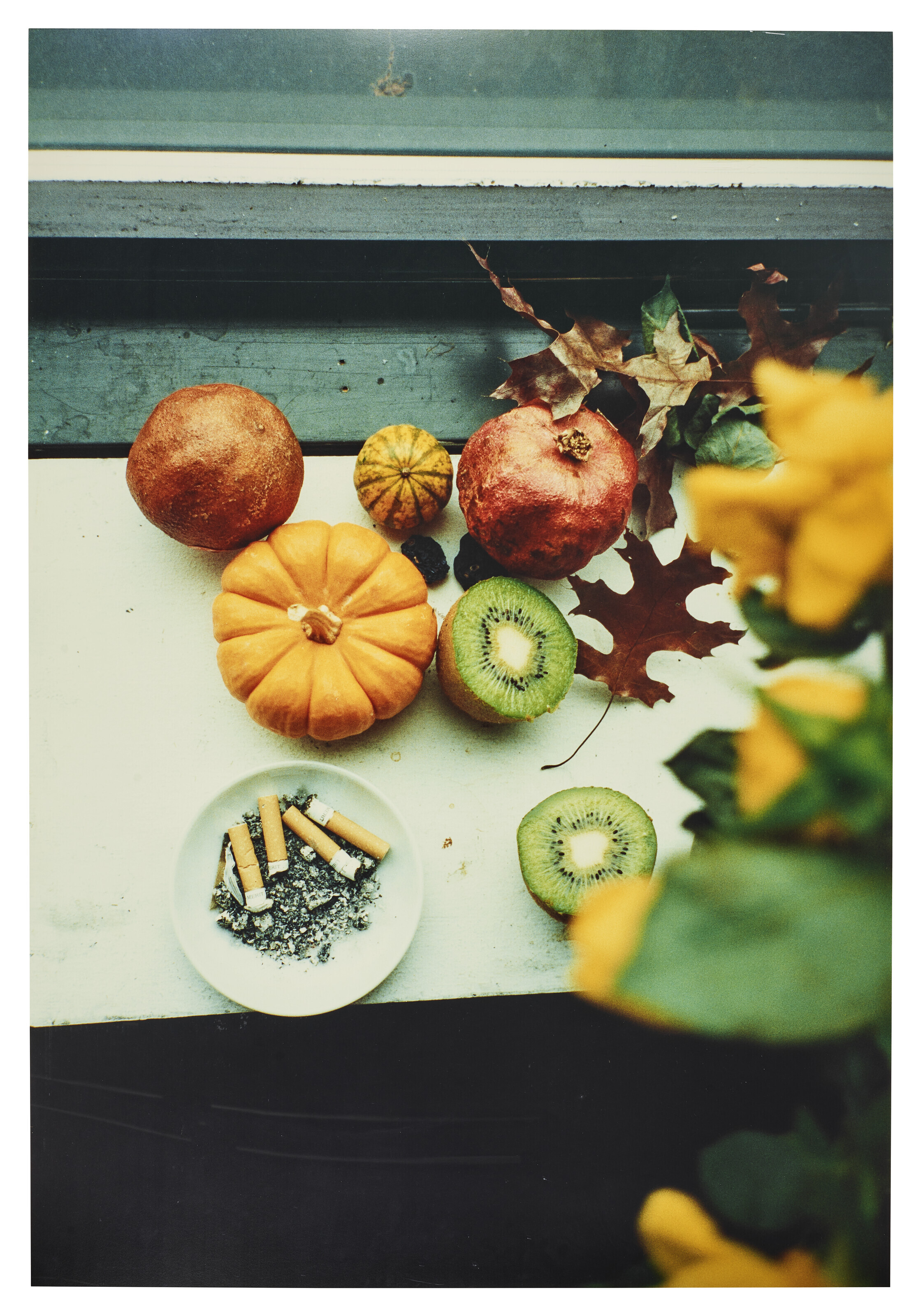 Wolfgang Tillmans 値下げしました41.000～36.000円 WOLFGANG TILLMANS: THINGS MATTER, DINGE ZÄHLEN / Wolfgang