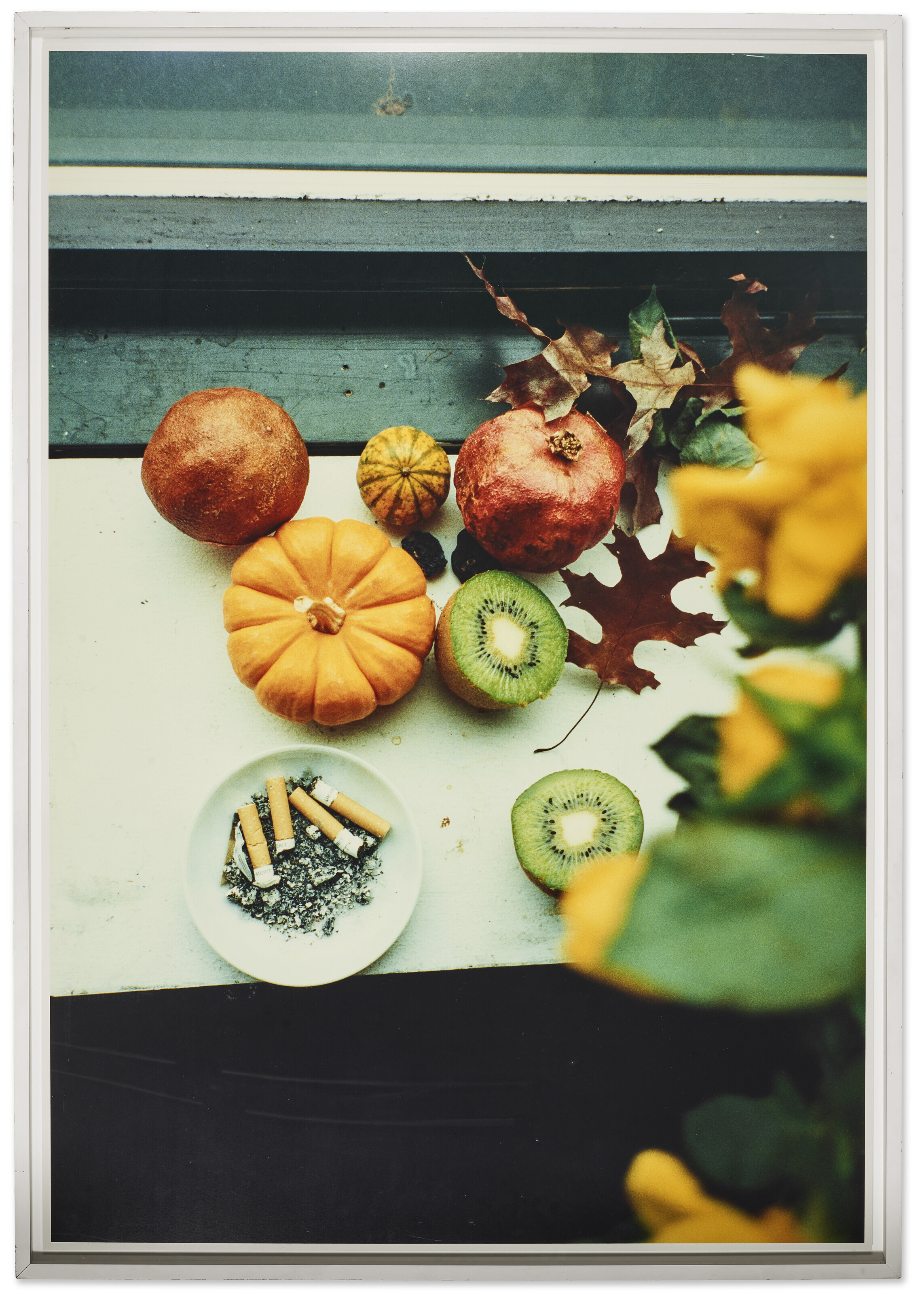 STILL LIFE ヴォルフガング・ティルマンス - 洋書オンライン アウトレット