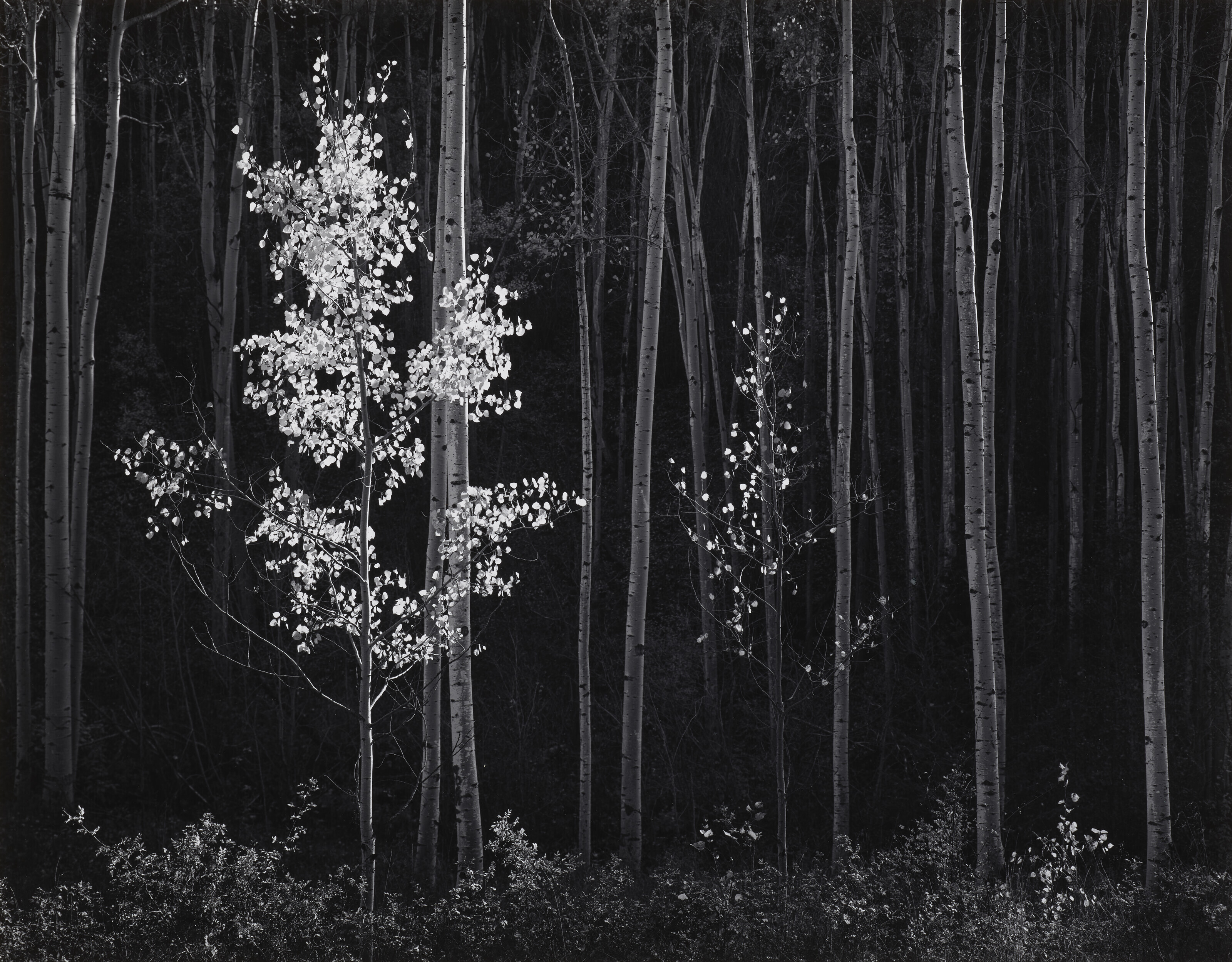 ANSEL ADAMS (1902–1984), Moonrise, Hernandez, New Mexico, 1941