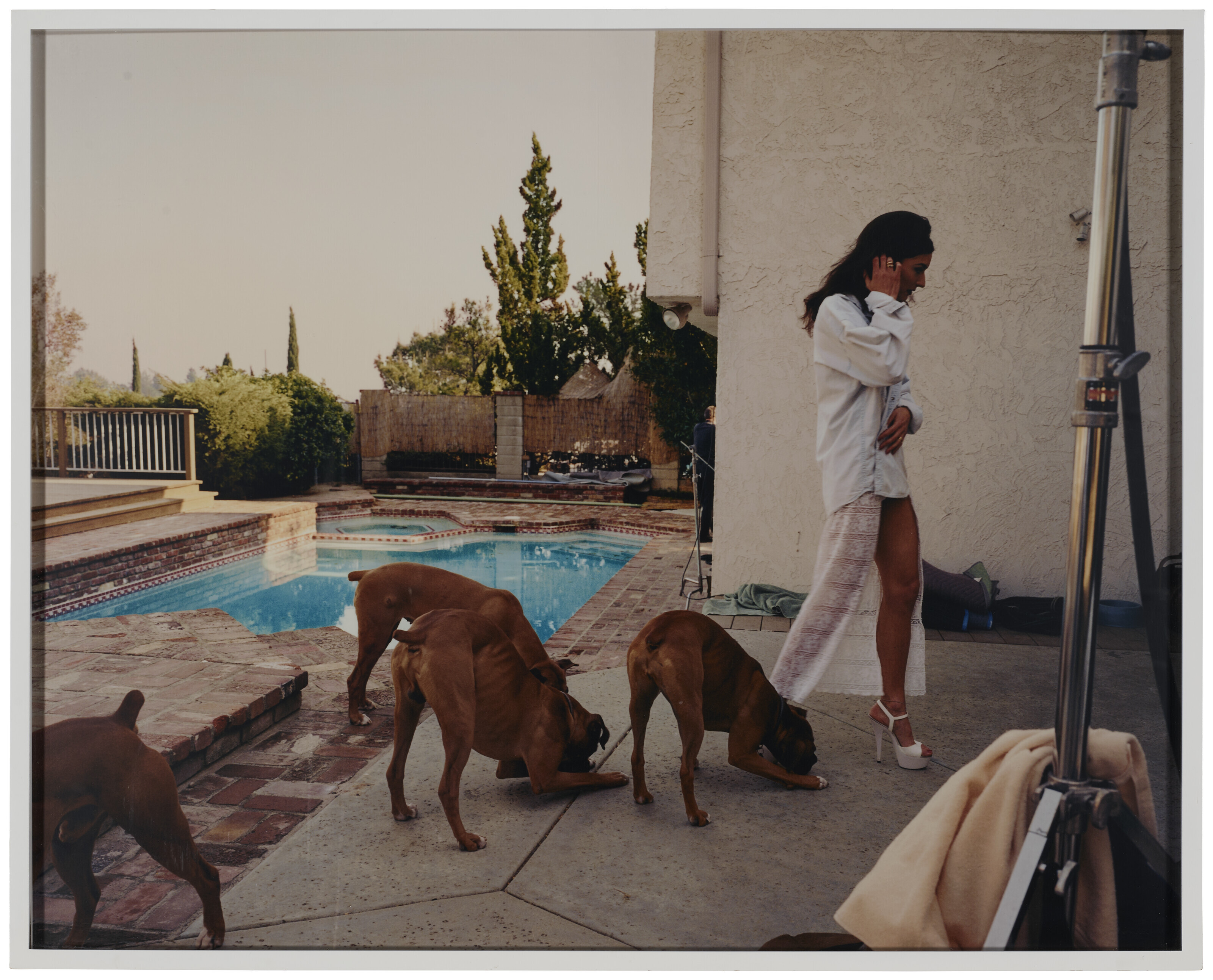 LARRY SULTAN (1946–2009), Boxers, Mission Hills (from the series