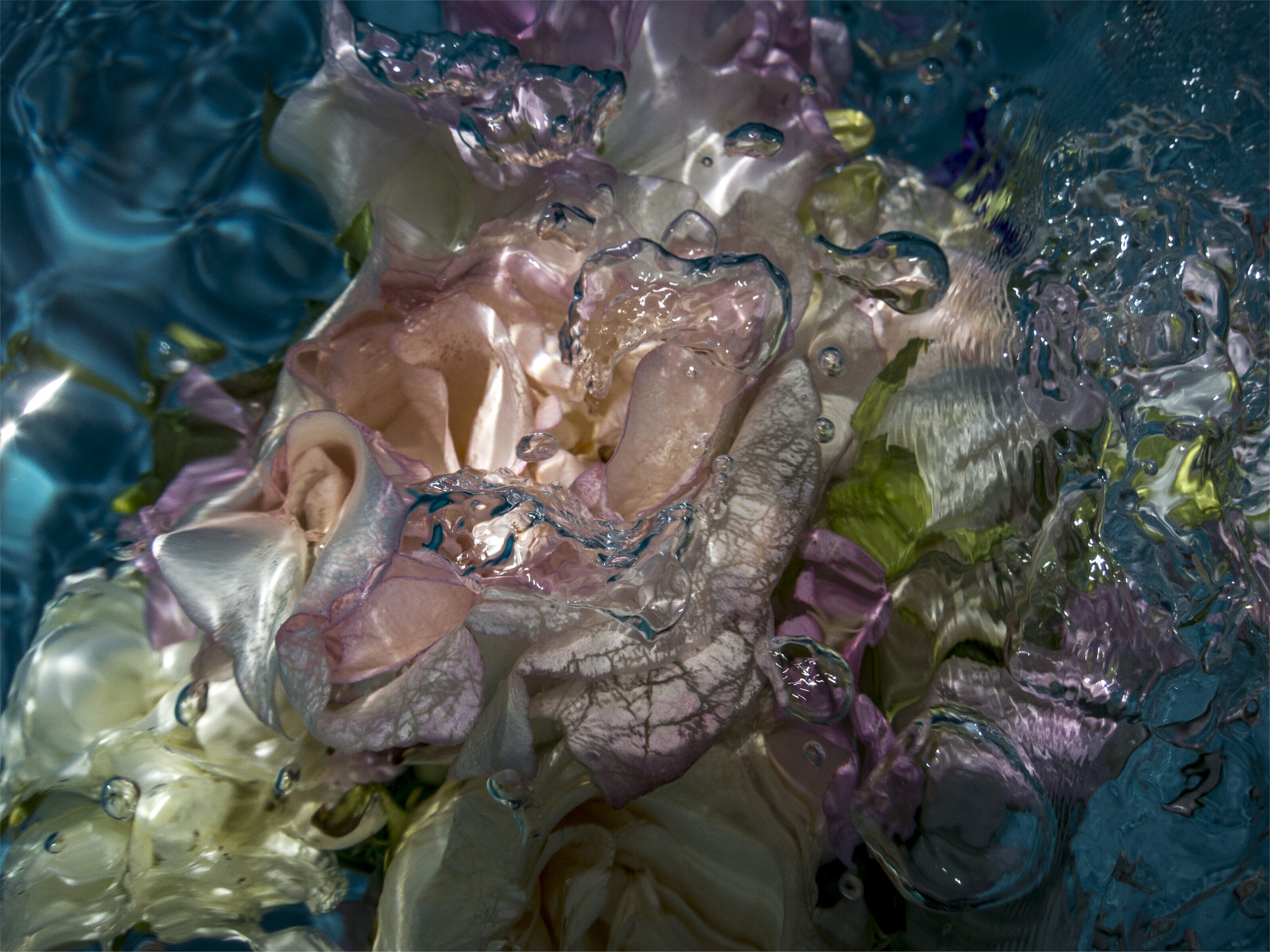 Catalog image of Flowers in Water No. 2118, 2012