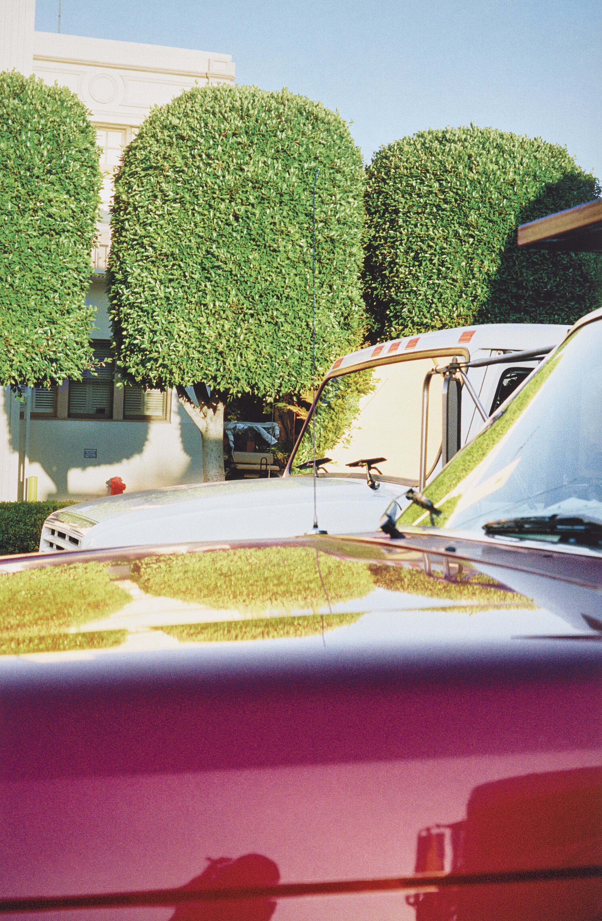 WILLIAM EGGLESTON 1939), Untitled, 2000 Christie's