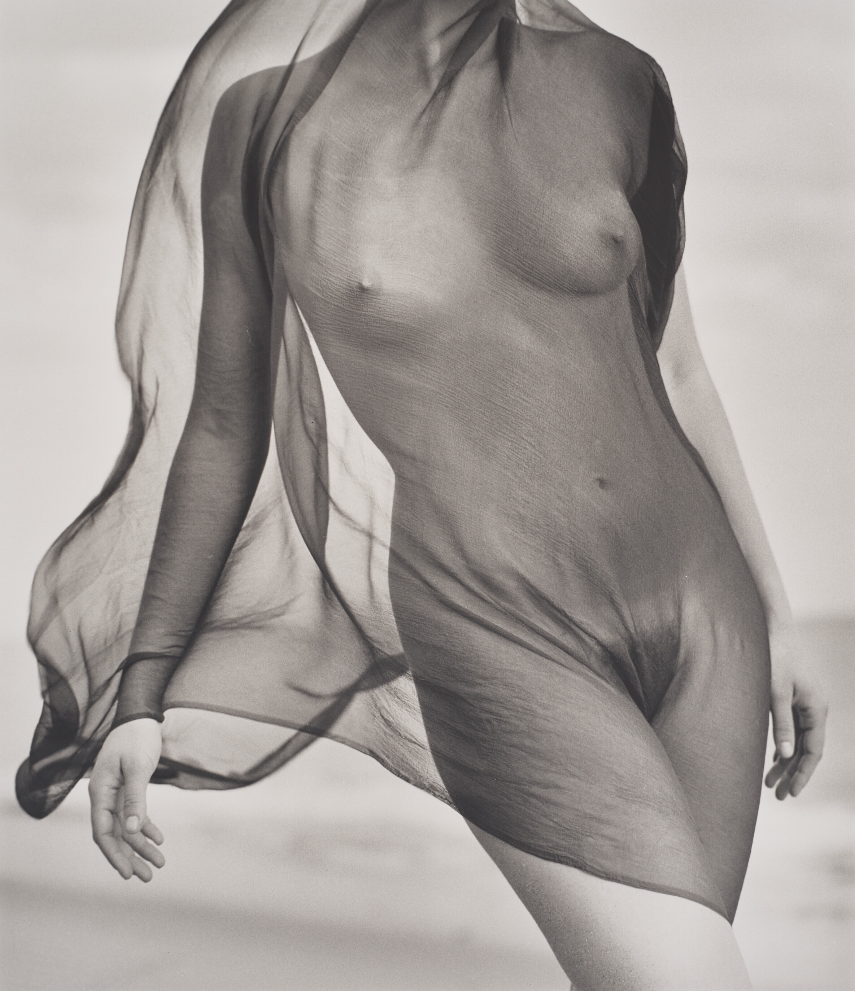 Catalog image of Female Torso with Veil, Paradise Cove, California, 1984