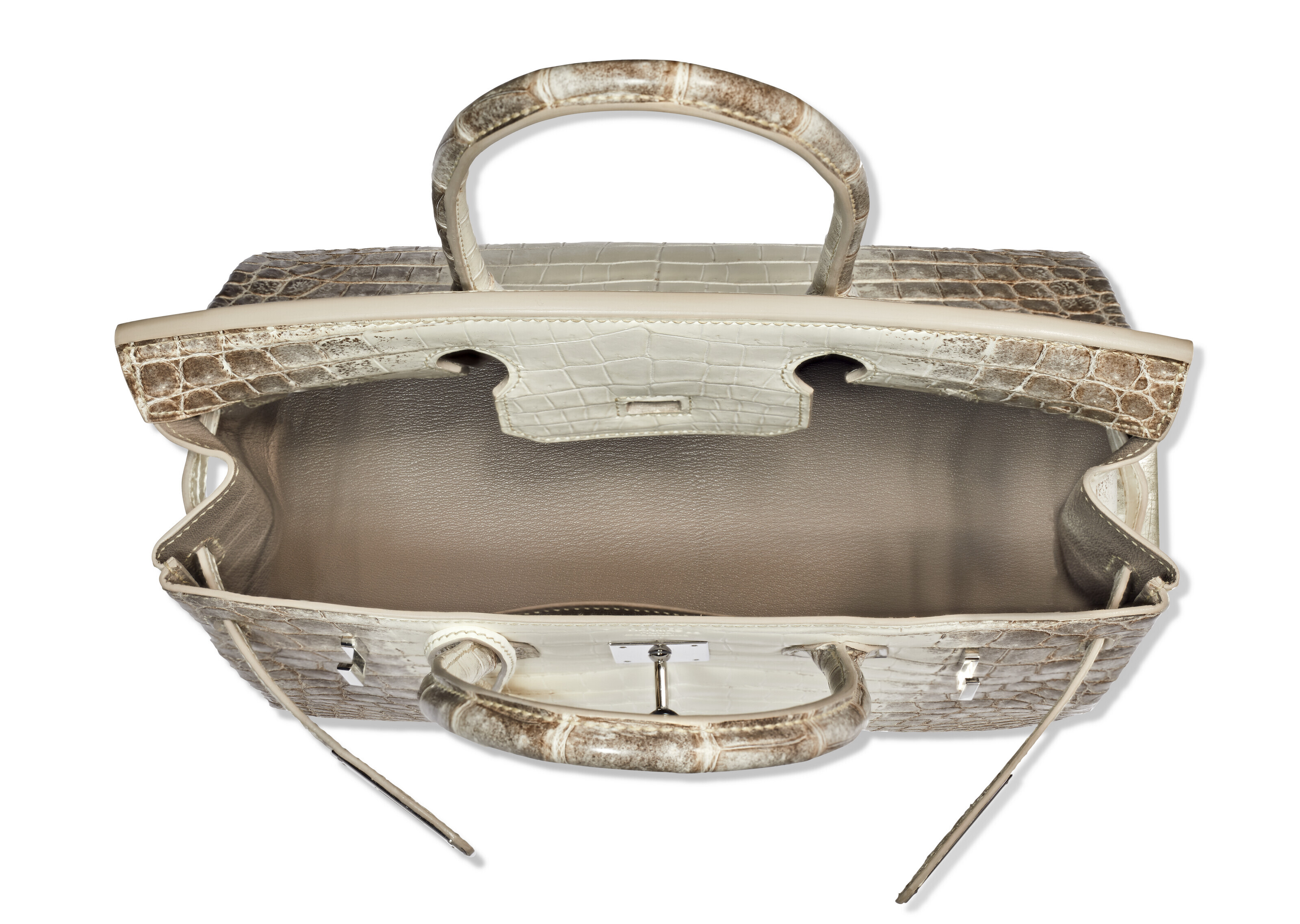 Niloticus crocodile himalaya birkin 30 clearance