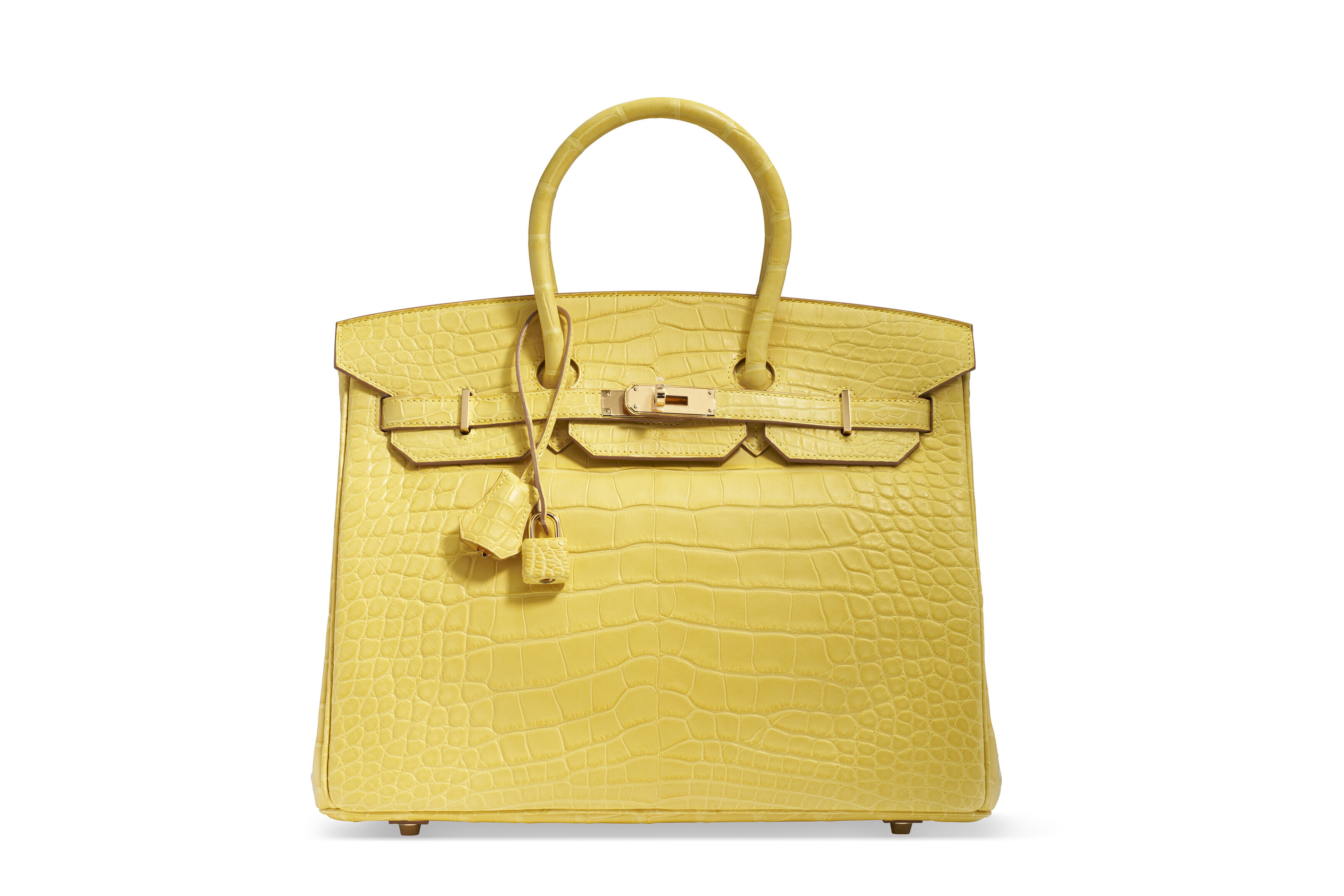 Alligator birkin 2025 price