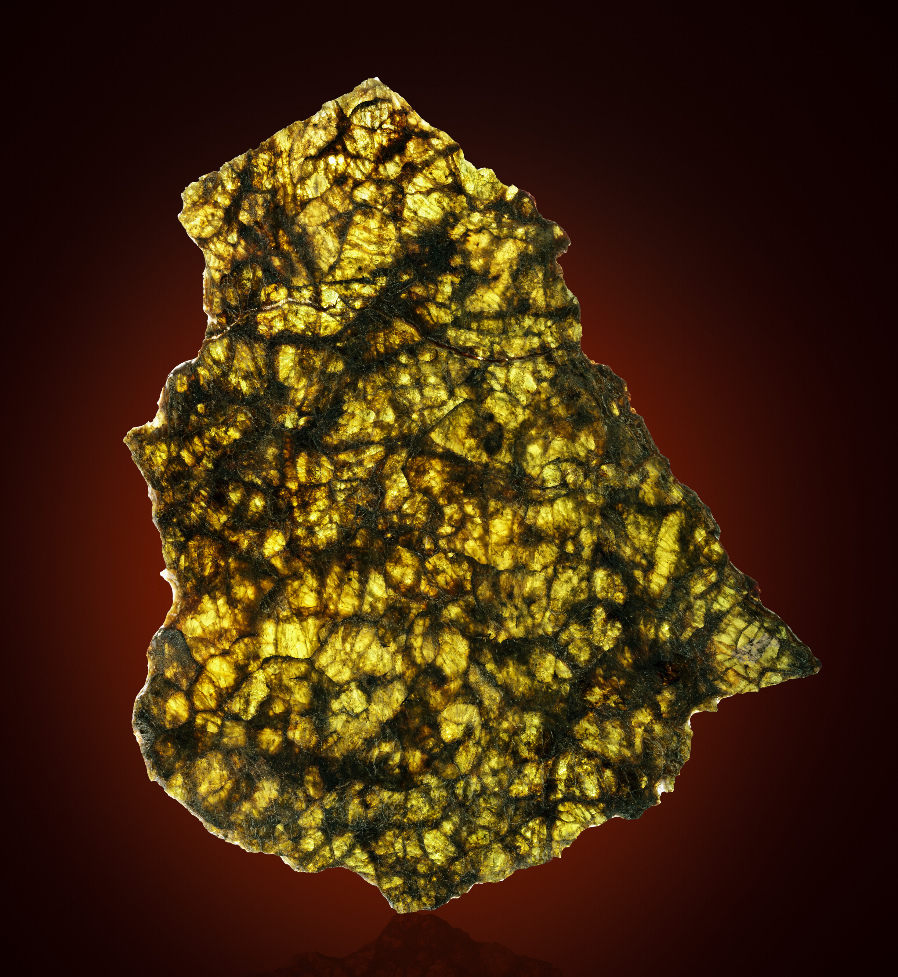 ESQUEL — PARTIAL SLICE OF THE MOST ALLURING EXTRATERRESTRIAL