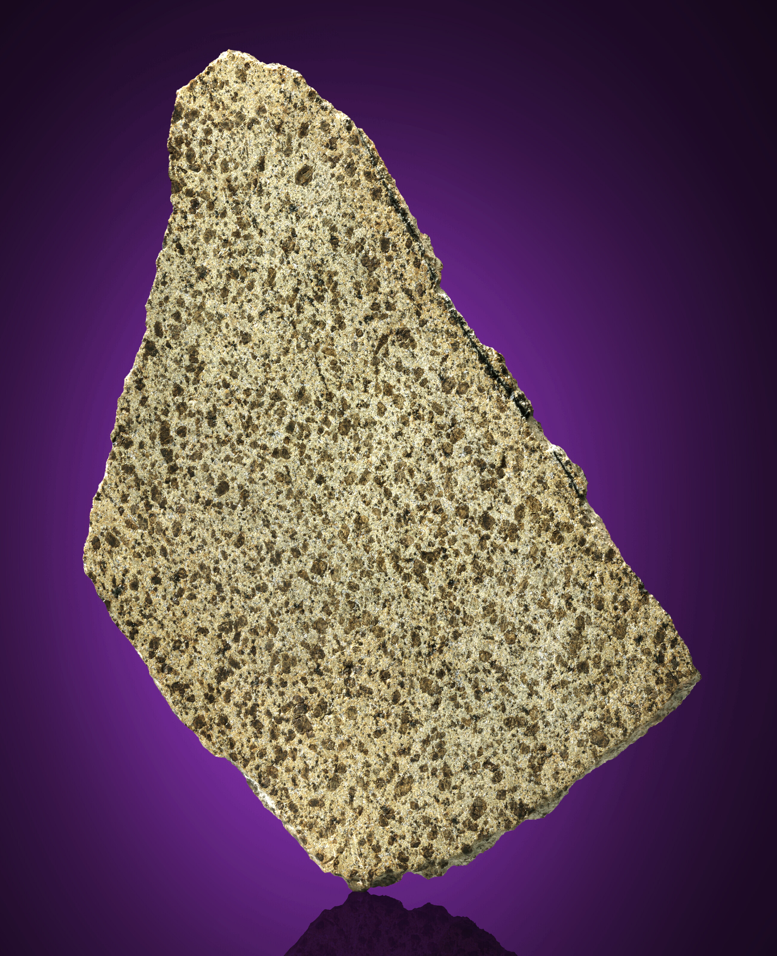 【受注生産品】 FORMAT LARGE MESOSIDERITE Christie's | Sahara Western Desert, Sahara The  B2; – Mesosiderite 15346, NWA — SLICE COMPLETE ダーツ