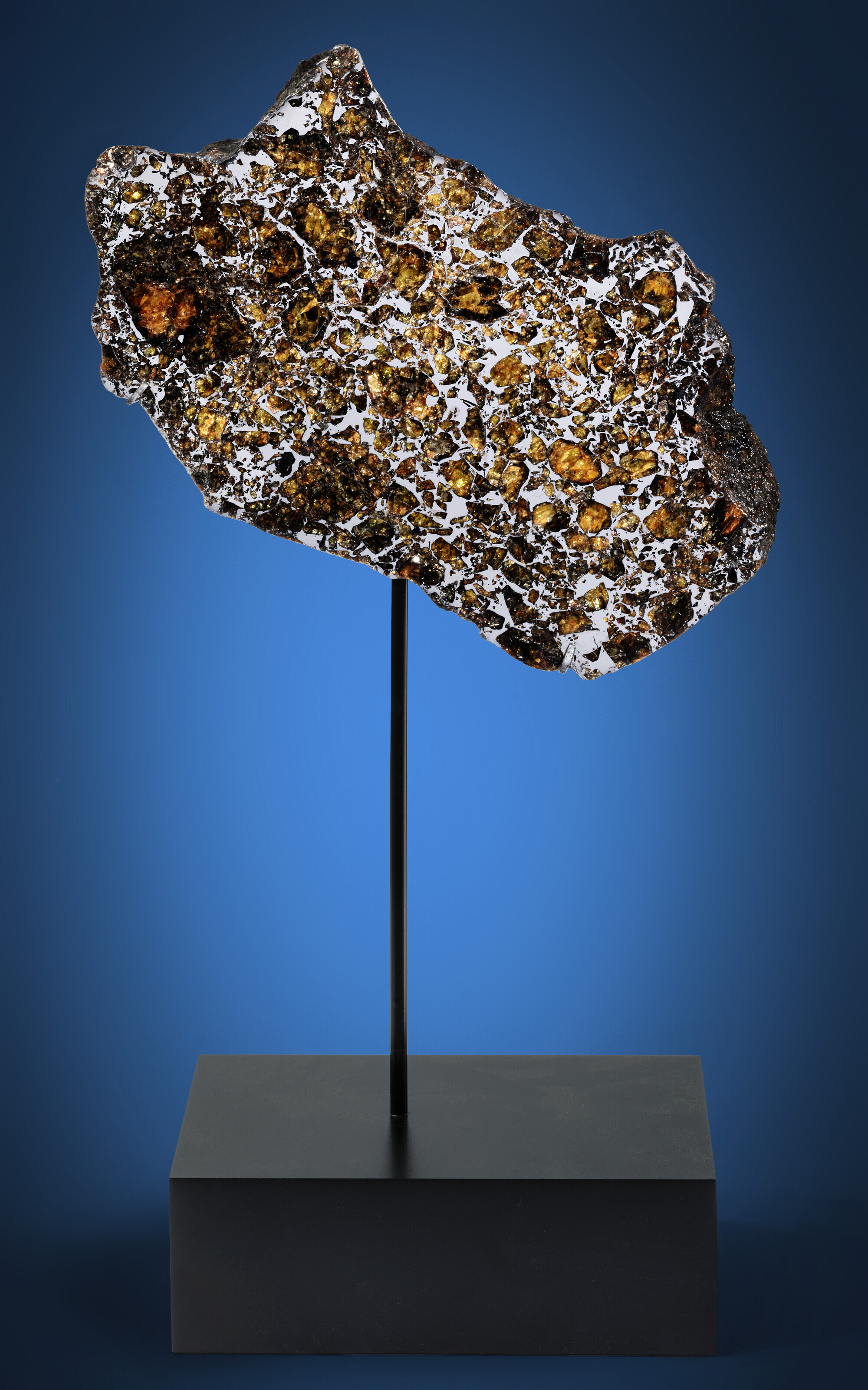 ADMIRE PALLASITE END PIECE — INTERIOR & EXTERIOR REVEALED, Pallasite PMG; Lyon County, Kansas