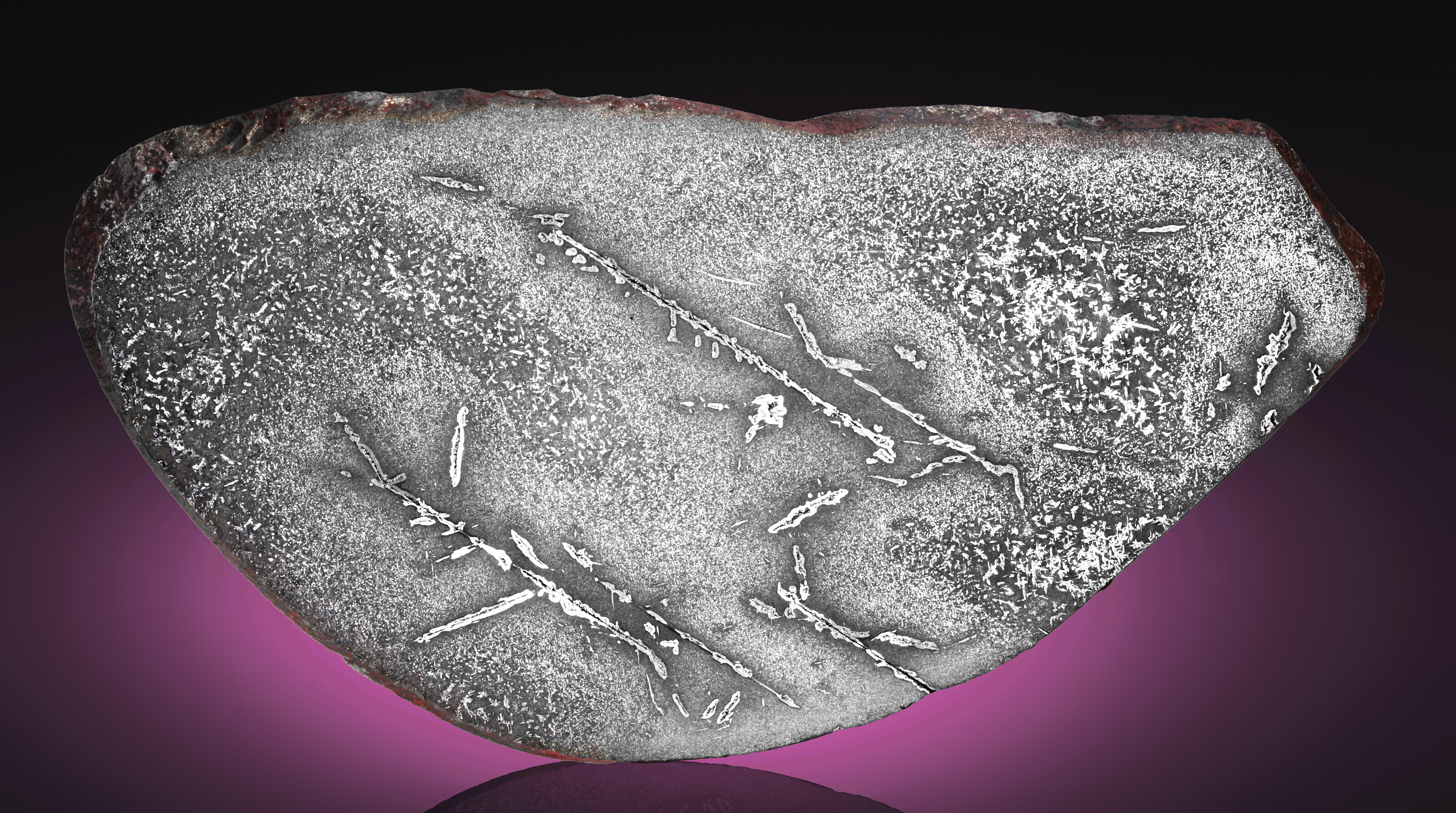 NWA 15036 — LARGE END PIECE OF PRIMITIVE METEORITE
