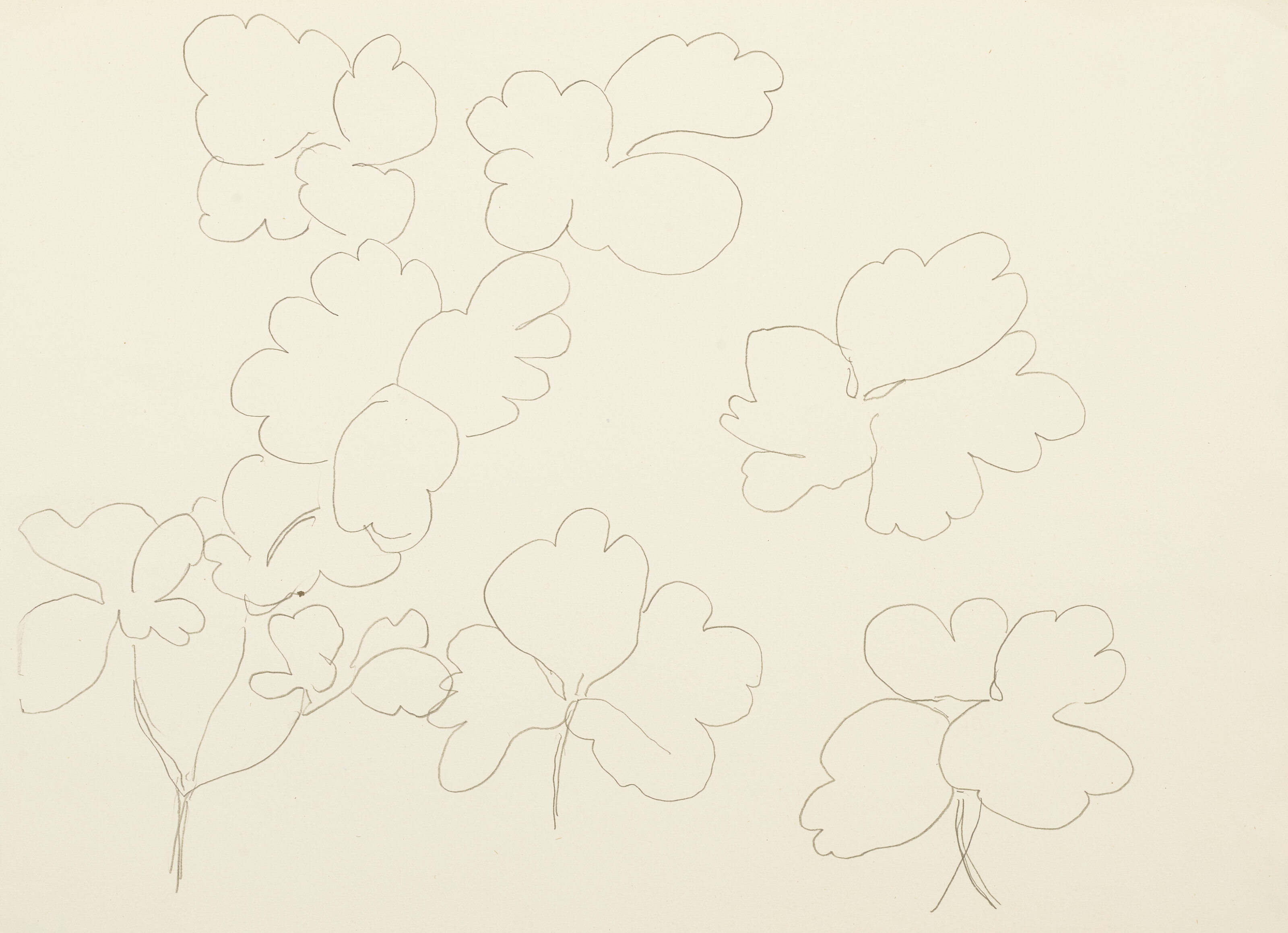 Etude de feuilles (recto and verso)