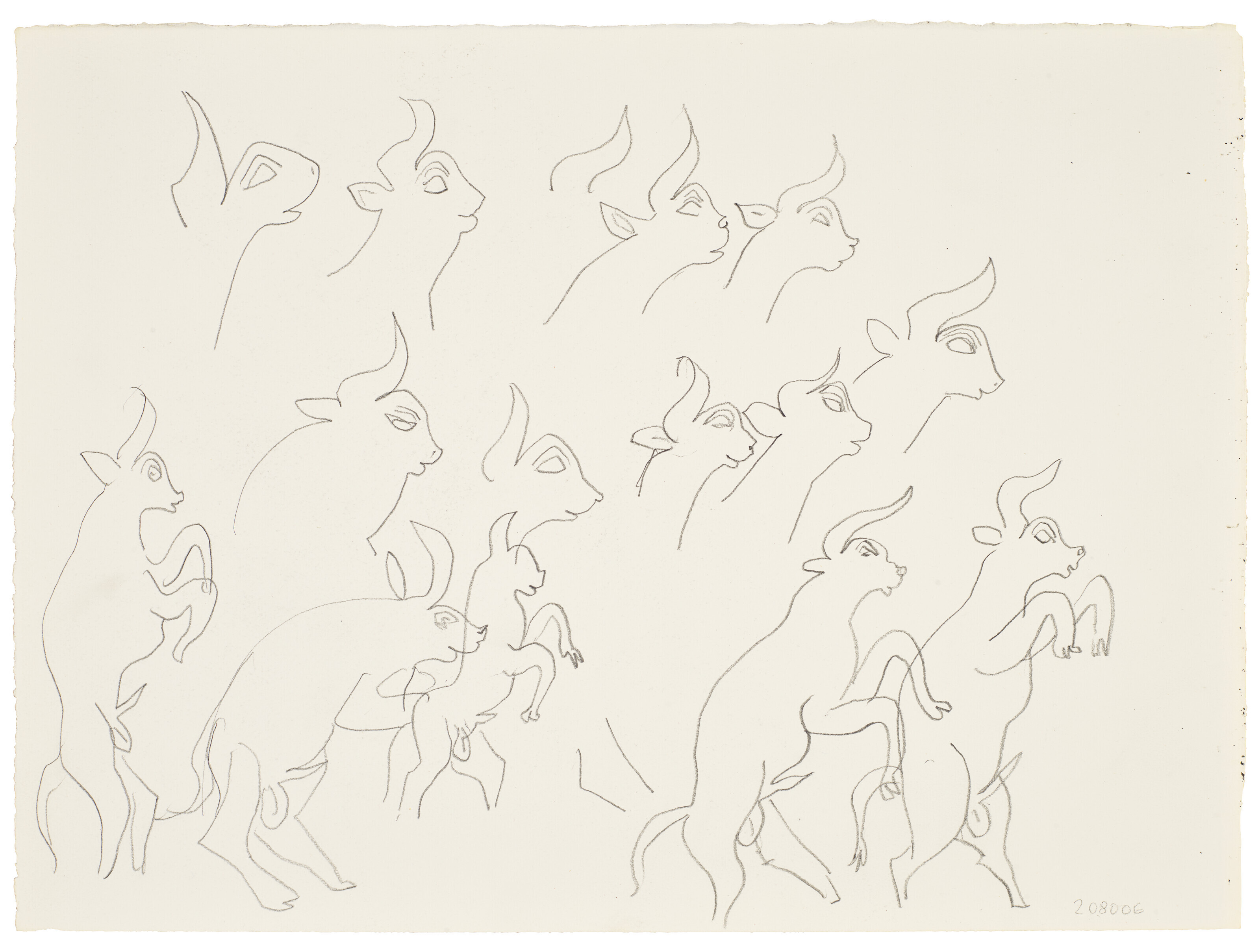 Etudes de boucs (recto); Feuilles (verso)