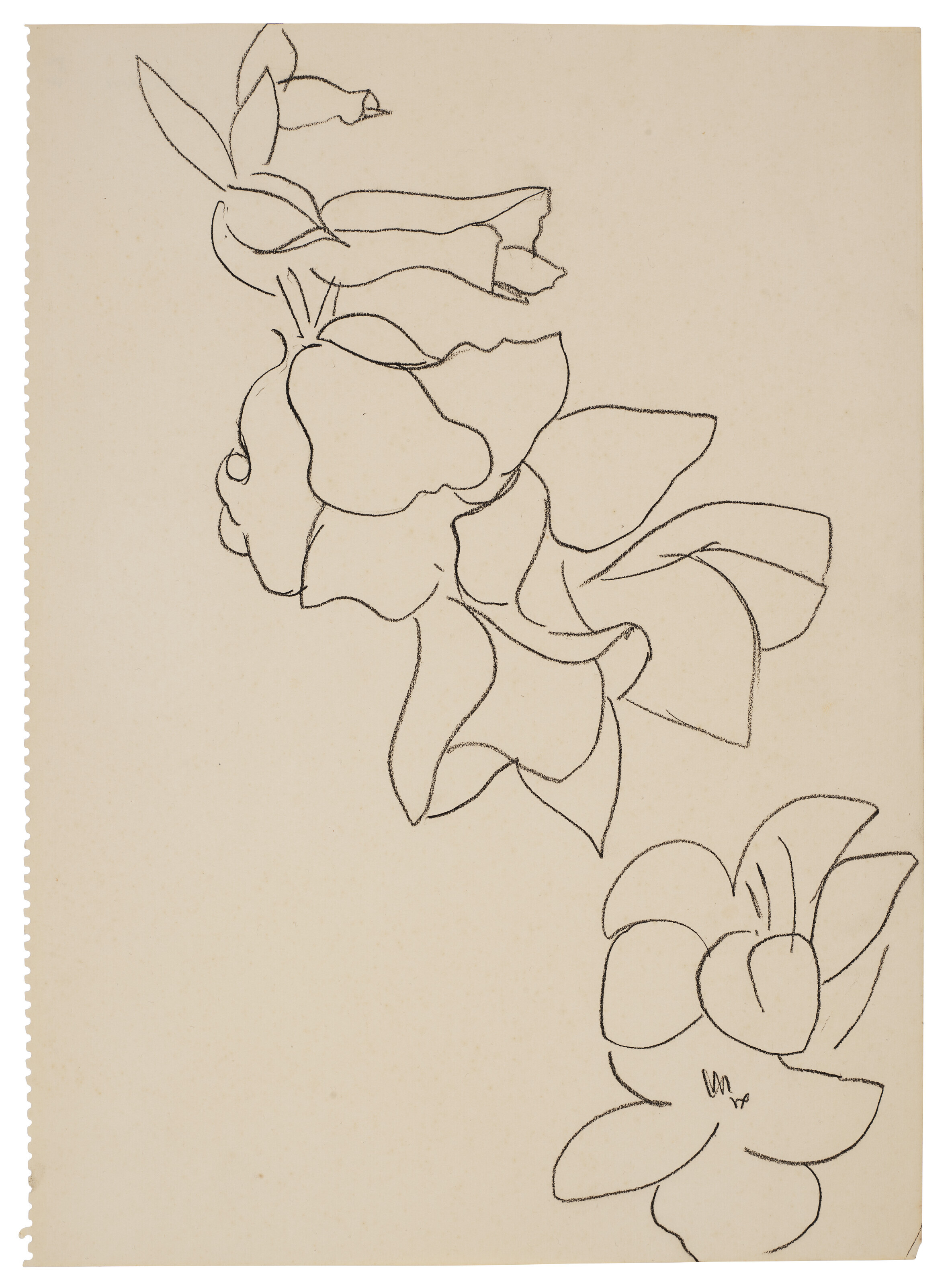 Fleurs et feuilles