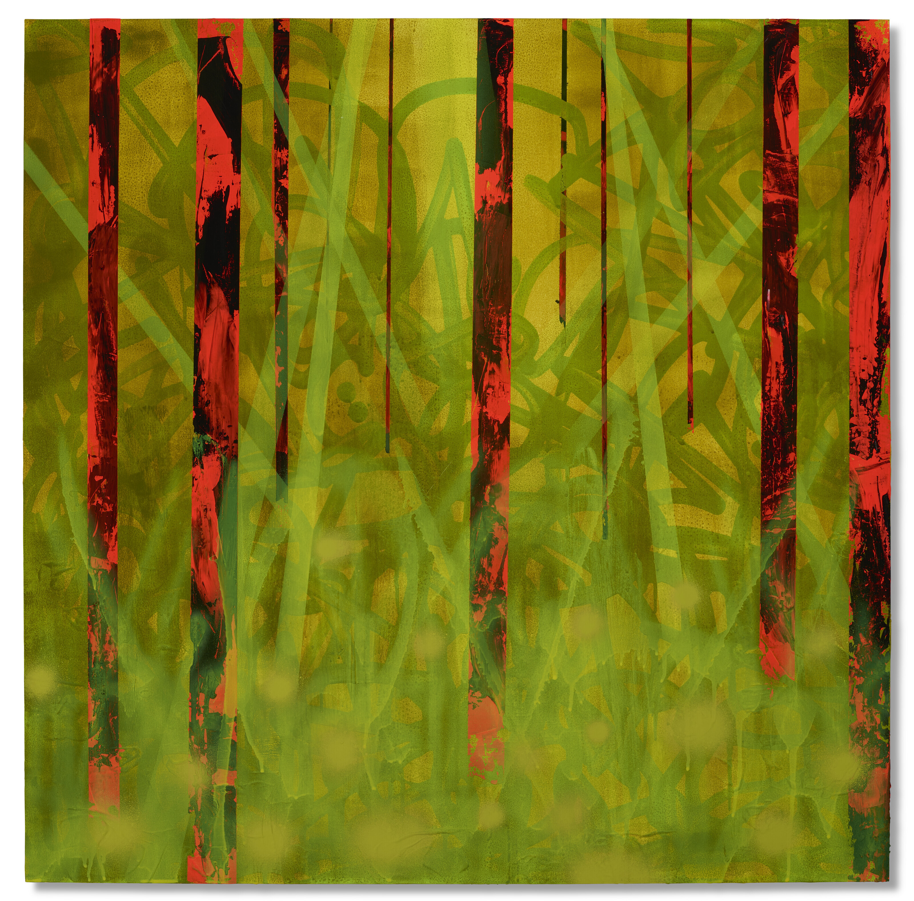 Mystical Birches