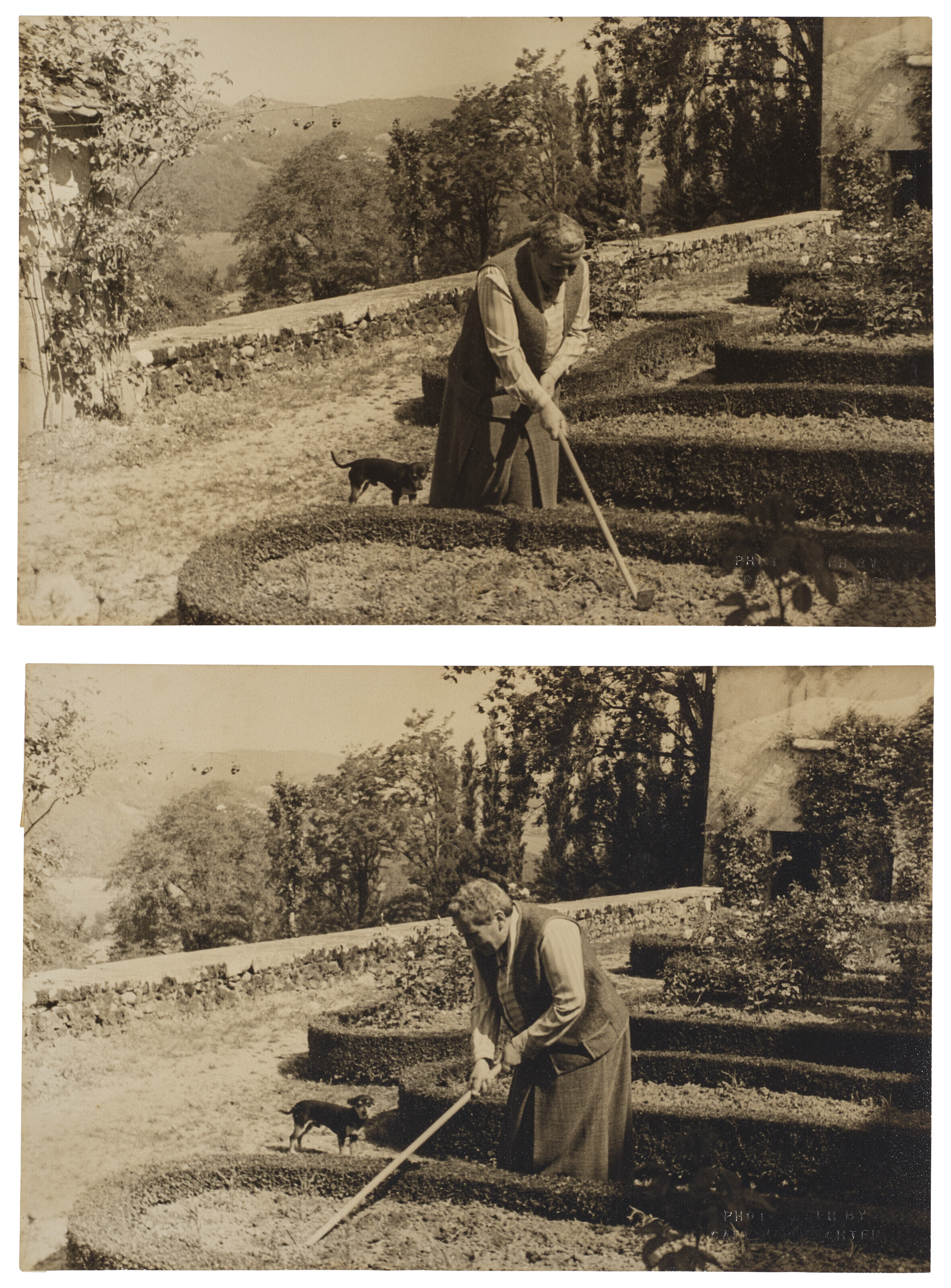 Catalog image of Gertrude Stein, 1934
