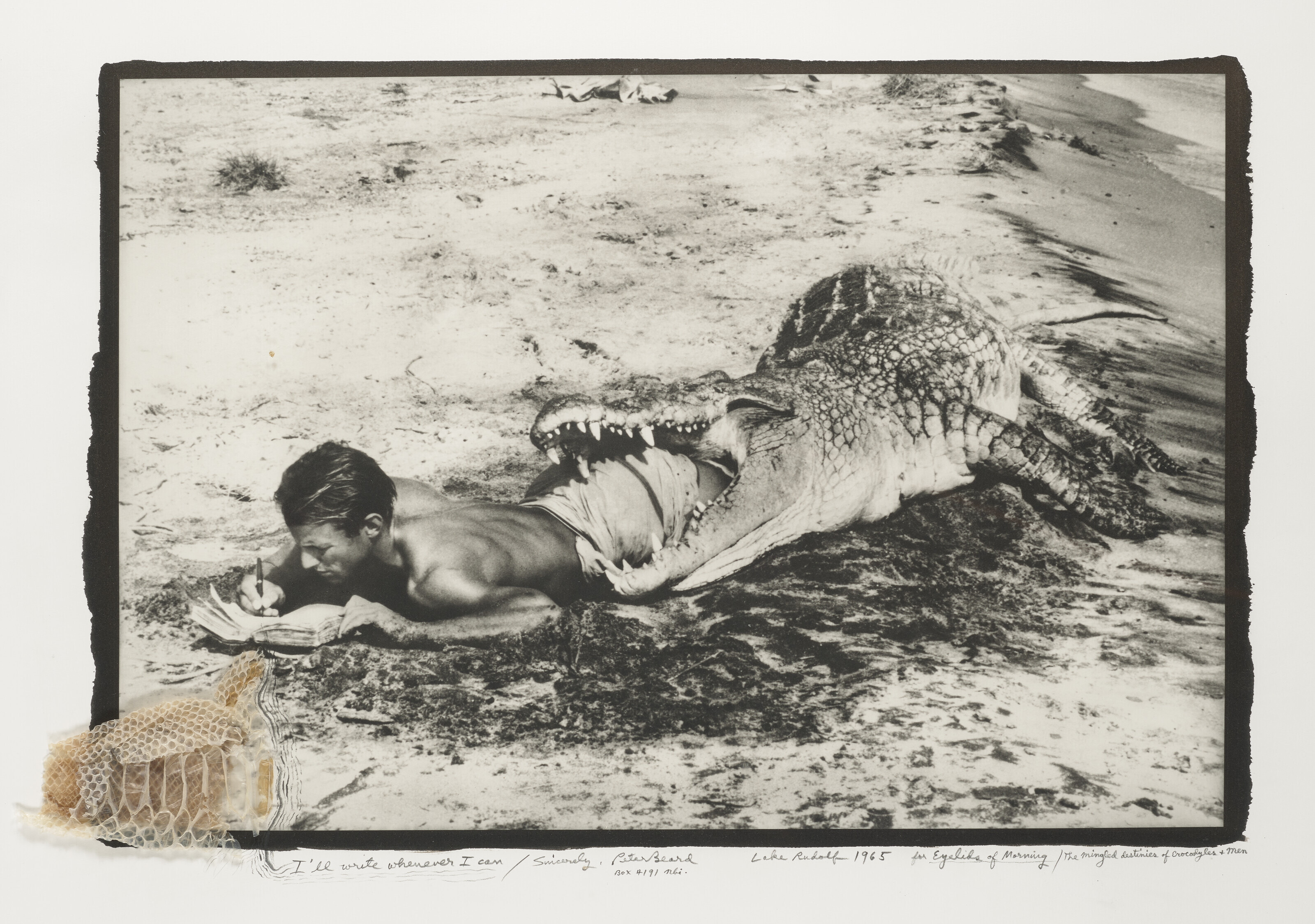 Catalog image of l'll Write Whenever I Can, 1965