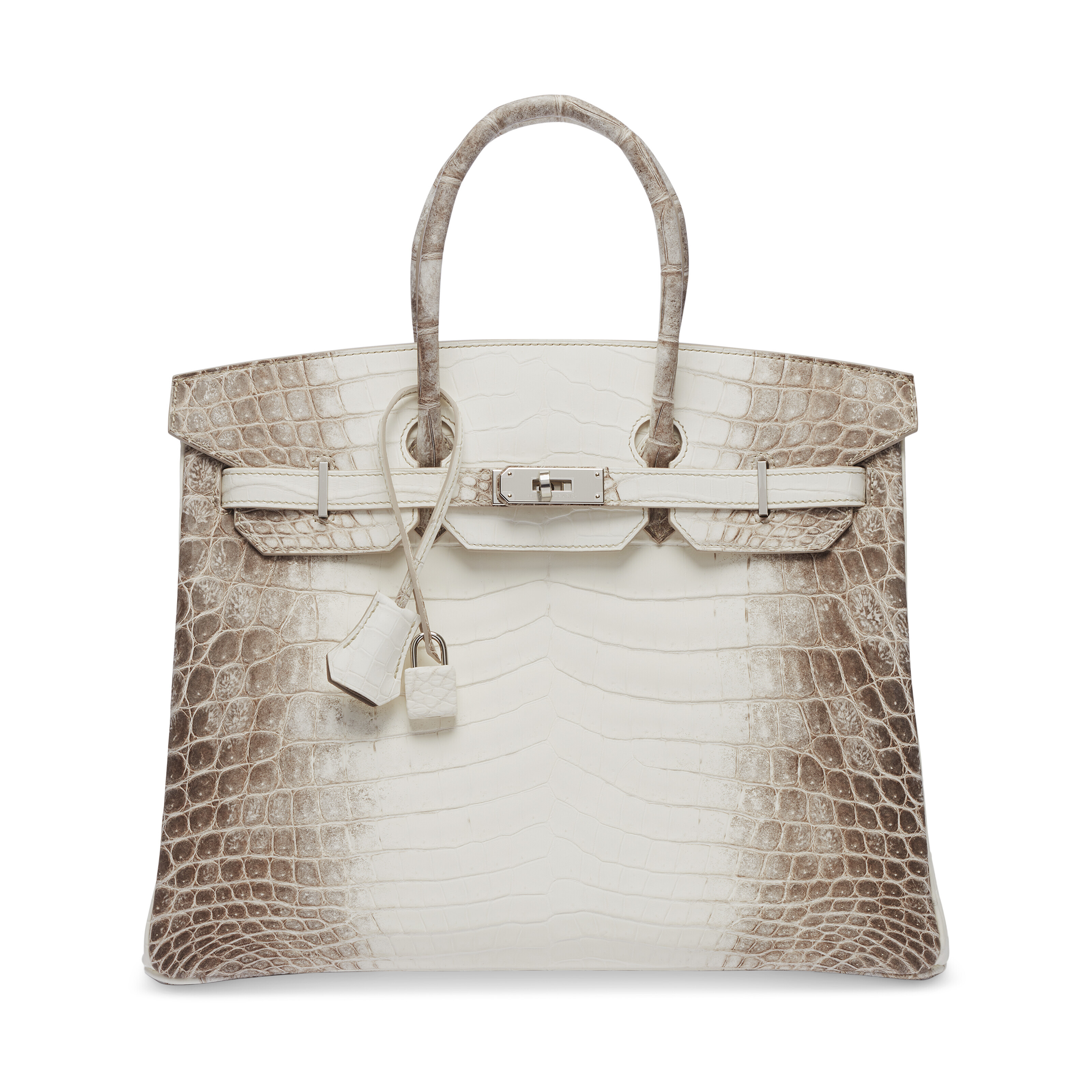 Albino shop crocodile birkin