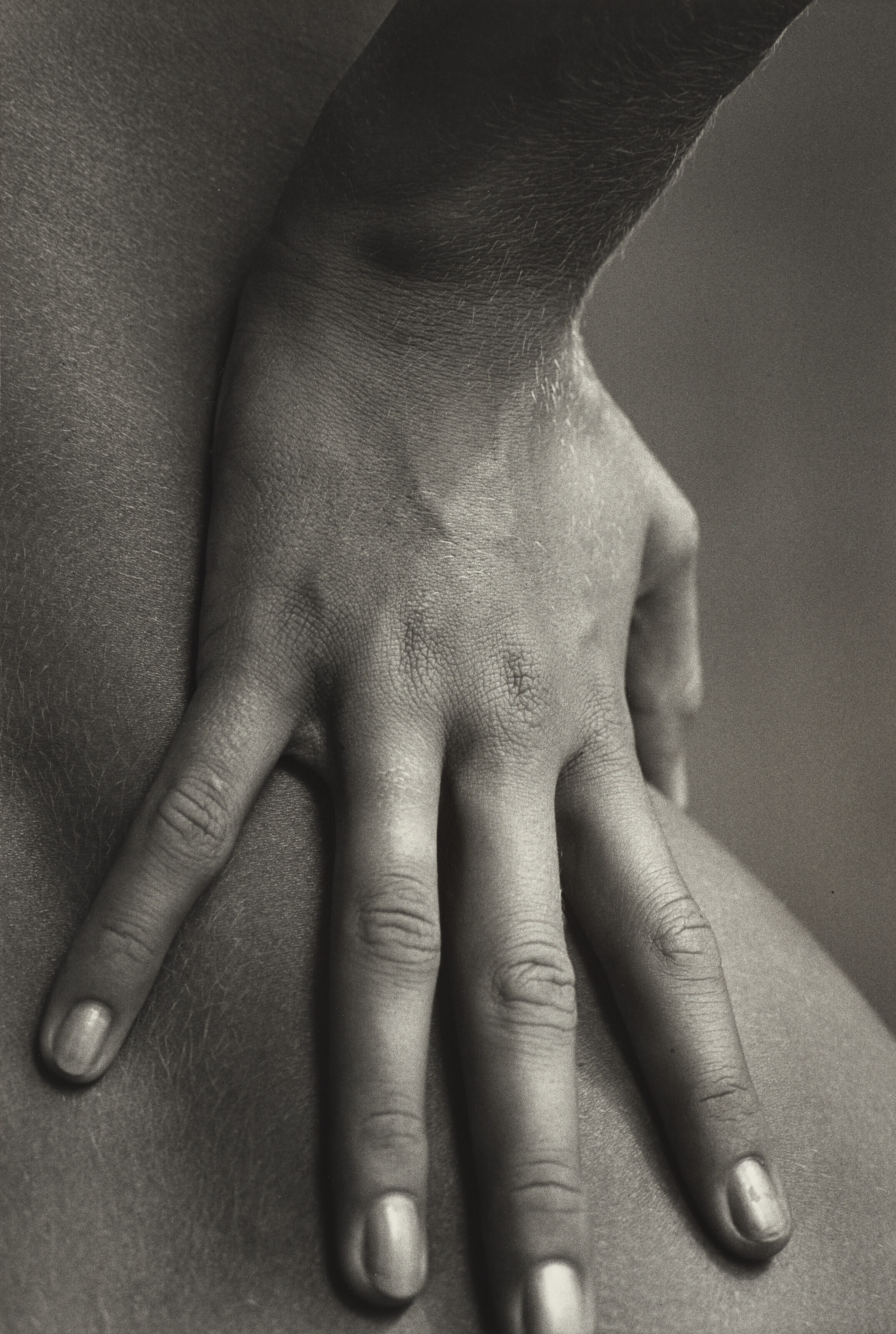 Catalog image of La main à la hanche (The Hand on the Hip), Paris, 1964