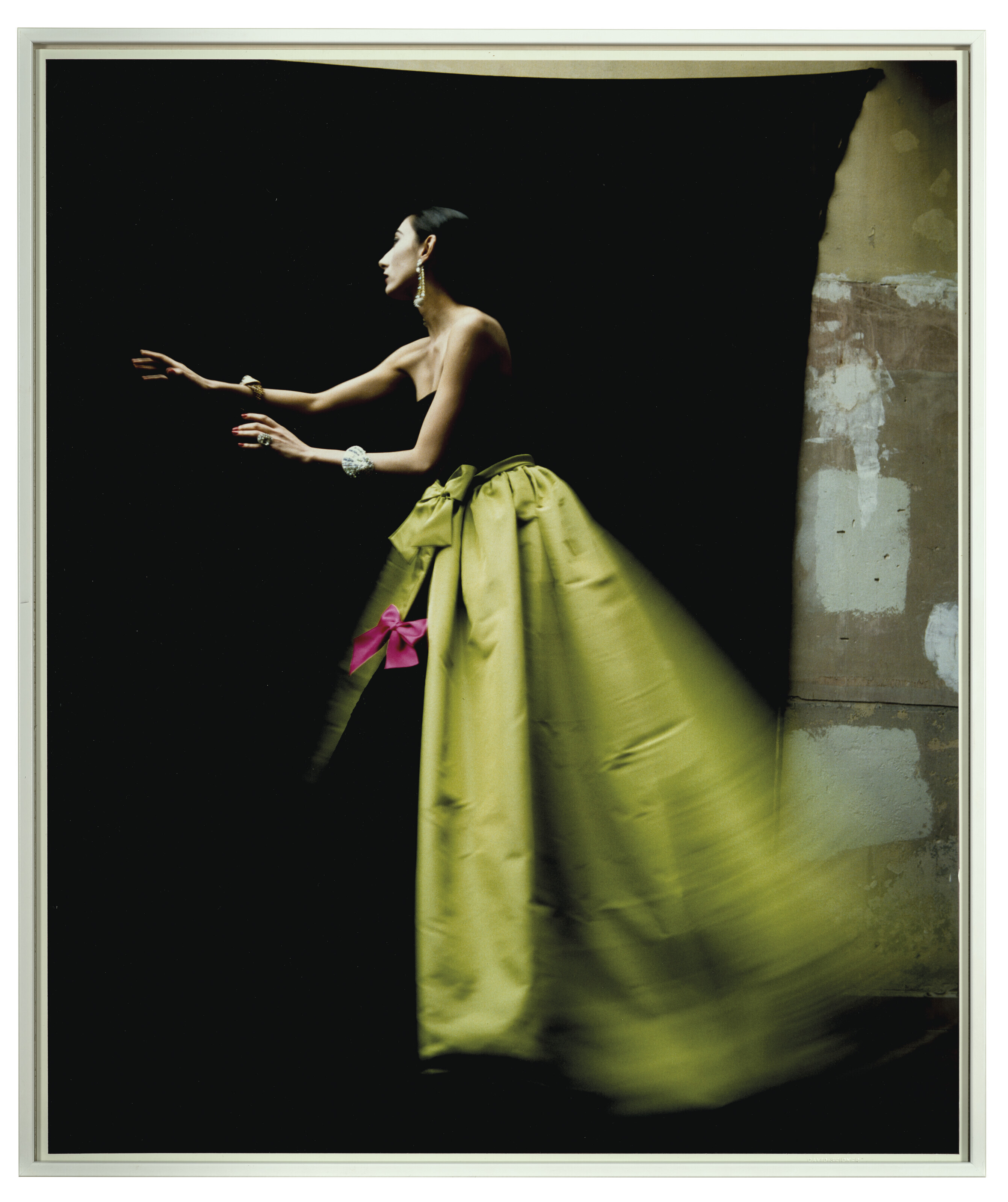 写真集 DAVID SEIDNER WITH A TEXT BY MAURIES 写真集 DAVID SEIDNER WITH A TEXT BY MAURIES David Seidner