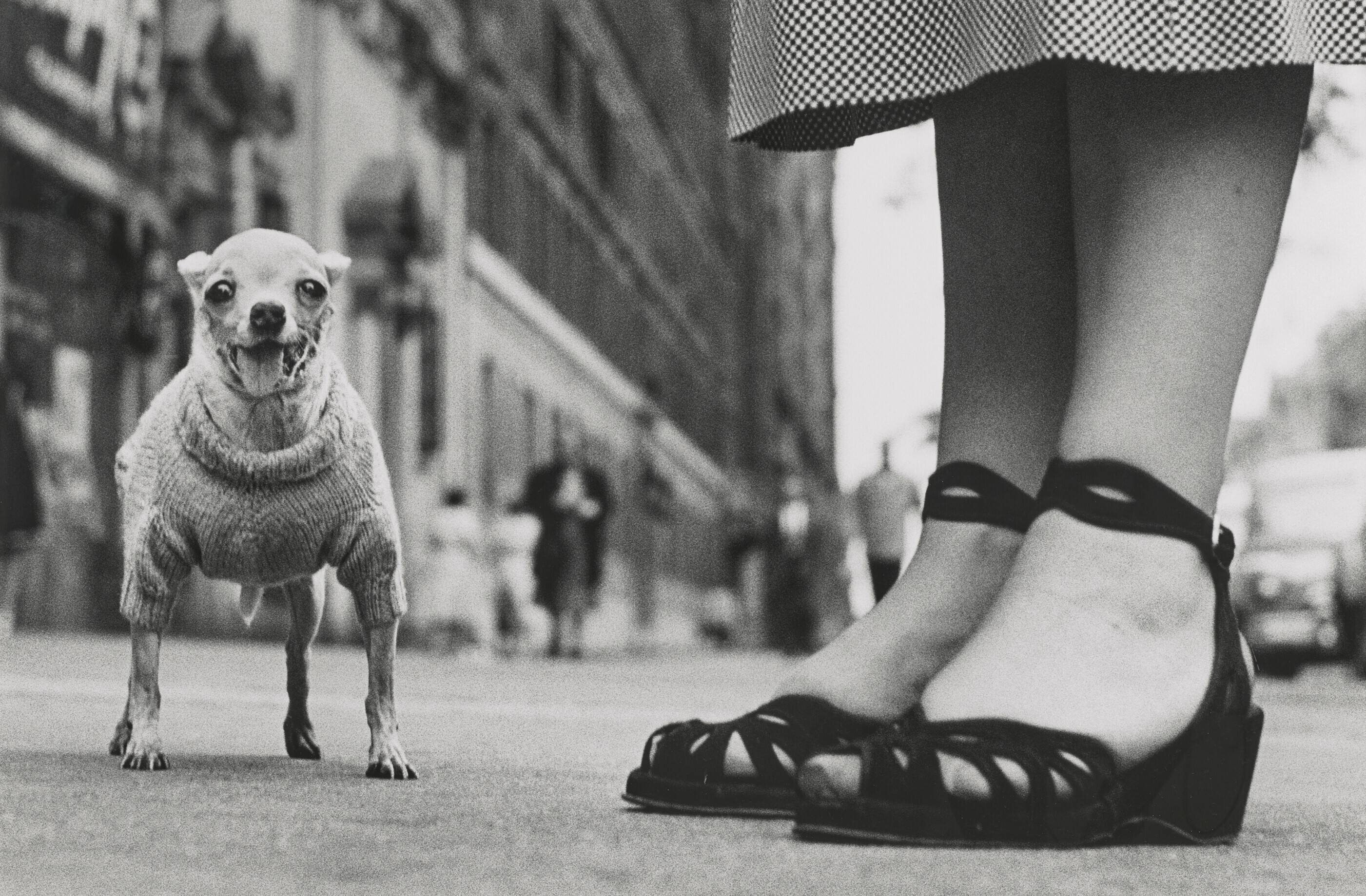 Catalog image of New York City, (Chihuahua), 1946