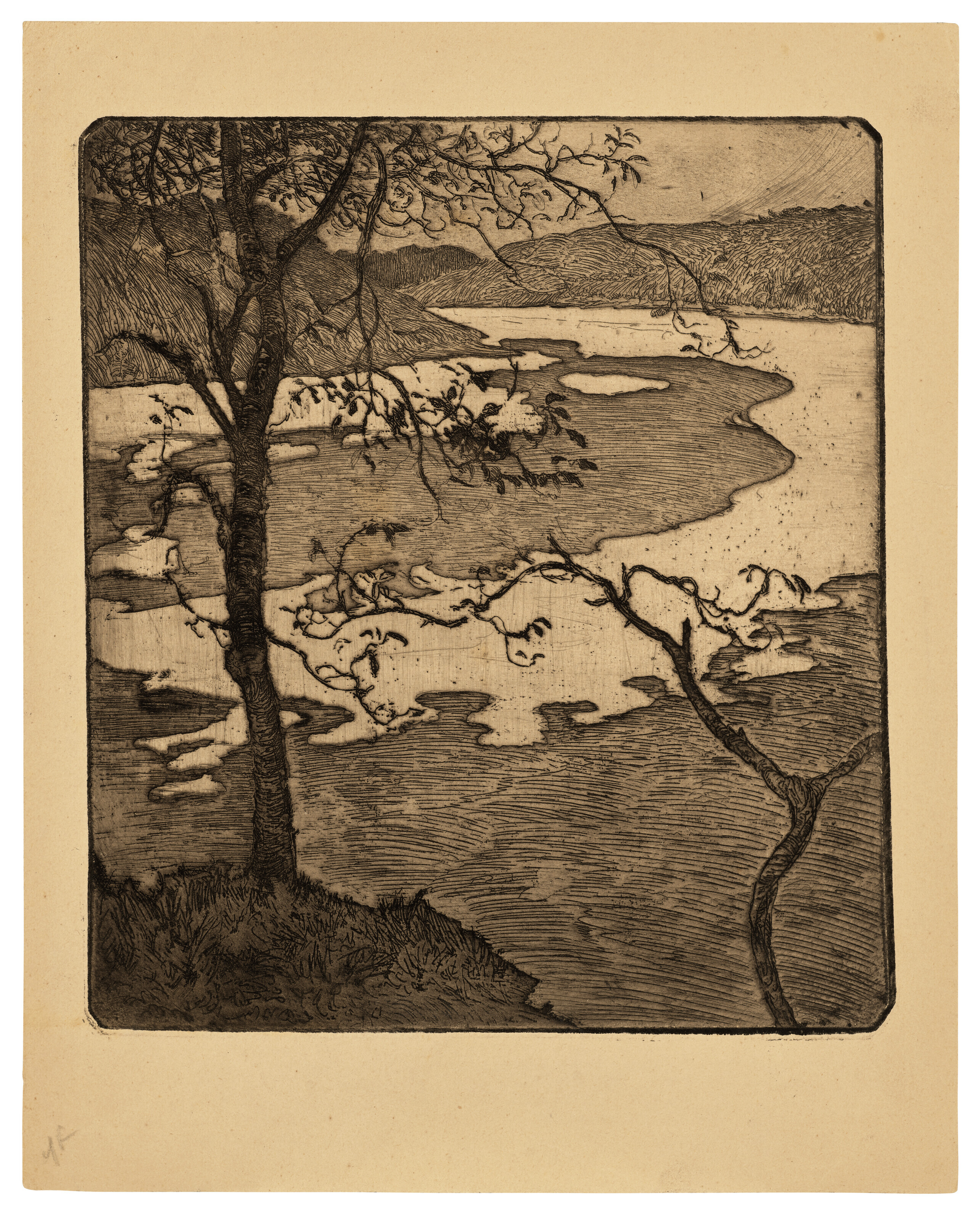 Catalog image of Arbres au-dessus d’un estuaire (Trees above the Estuary)