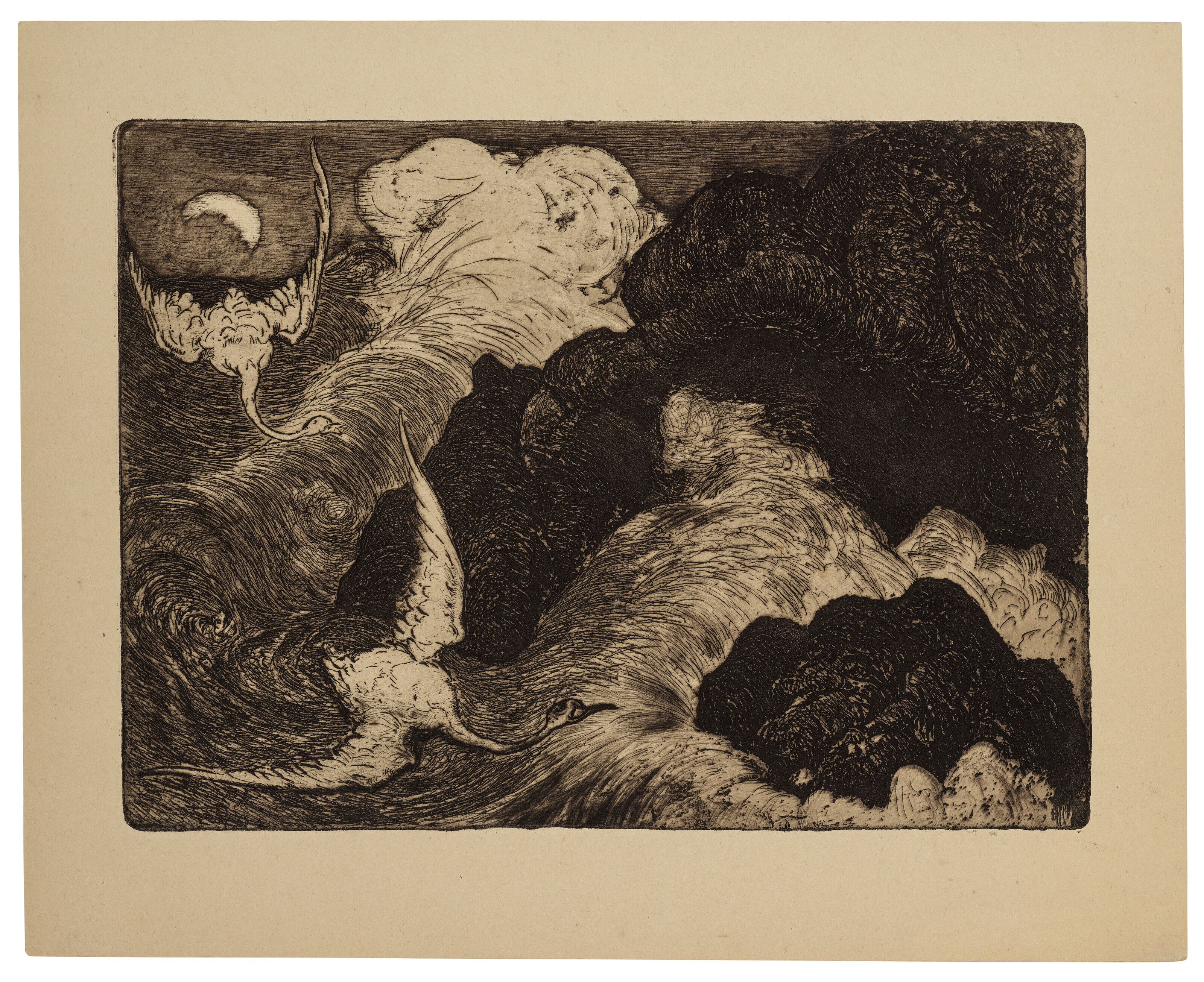 Catalog image of Deux cygnes volant au-dessus de la mer (Two swans Flying over sea)