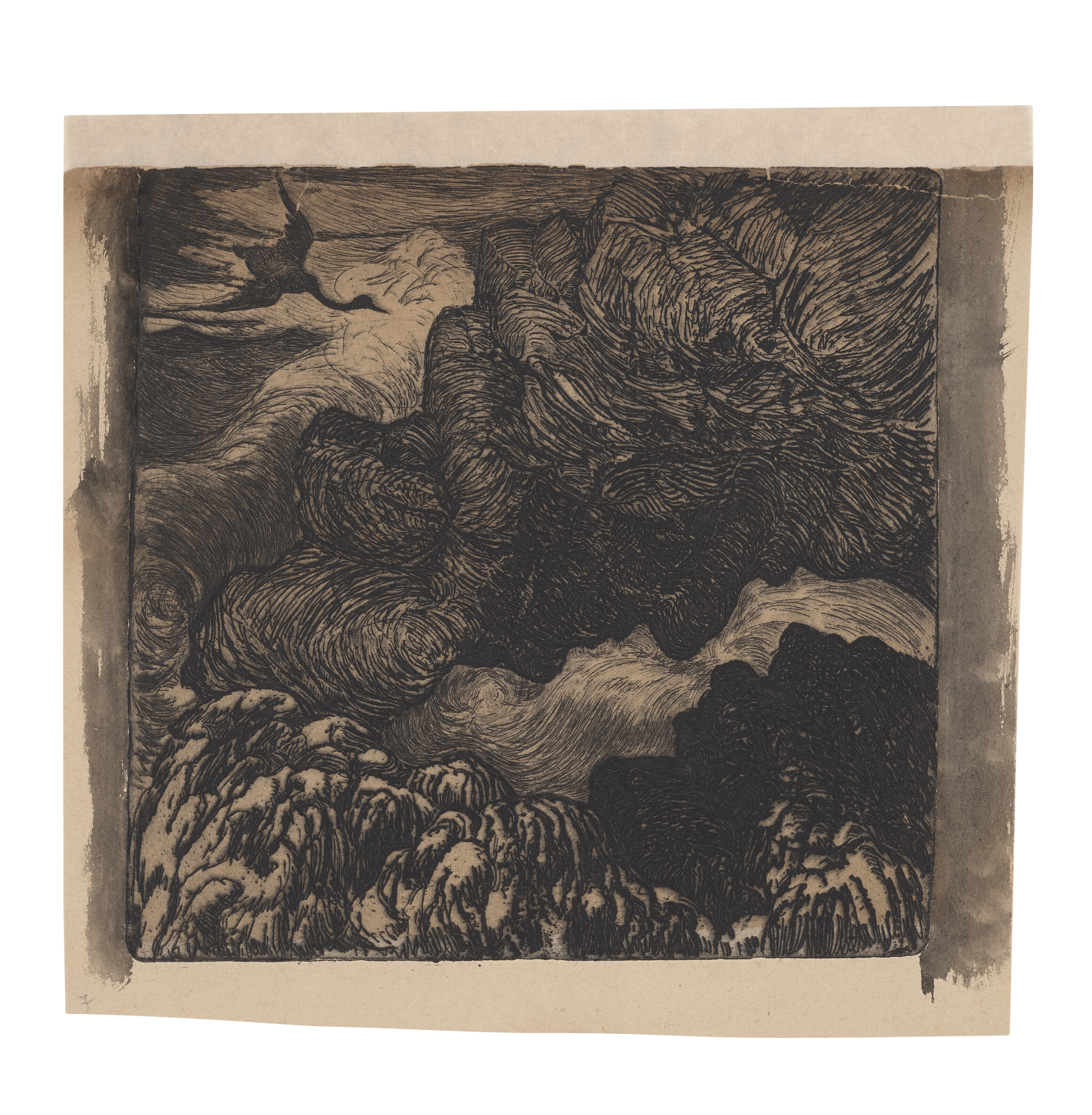 Catalog image of Comorans volant au-dessus des vagues (Swan flying over crashing waves)