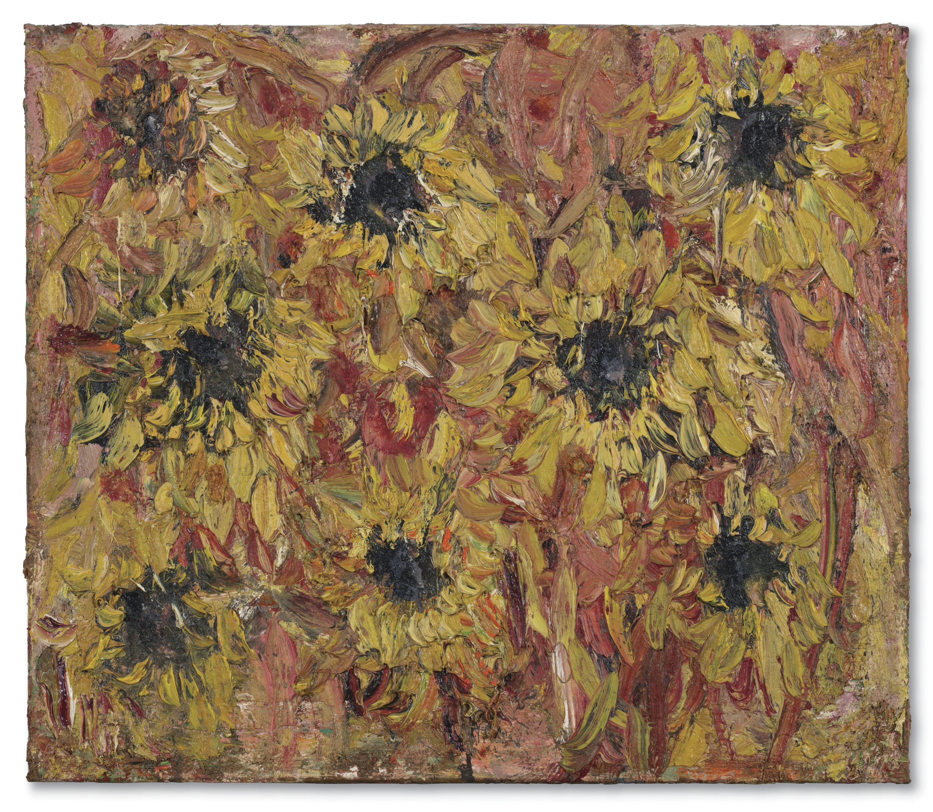 Catalog image of 8 Zonnebloemen/Lente