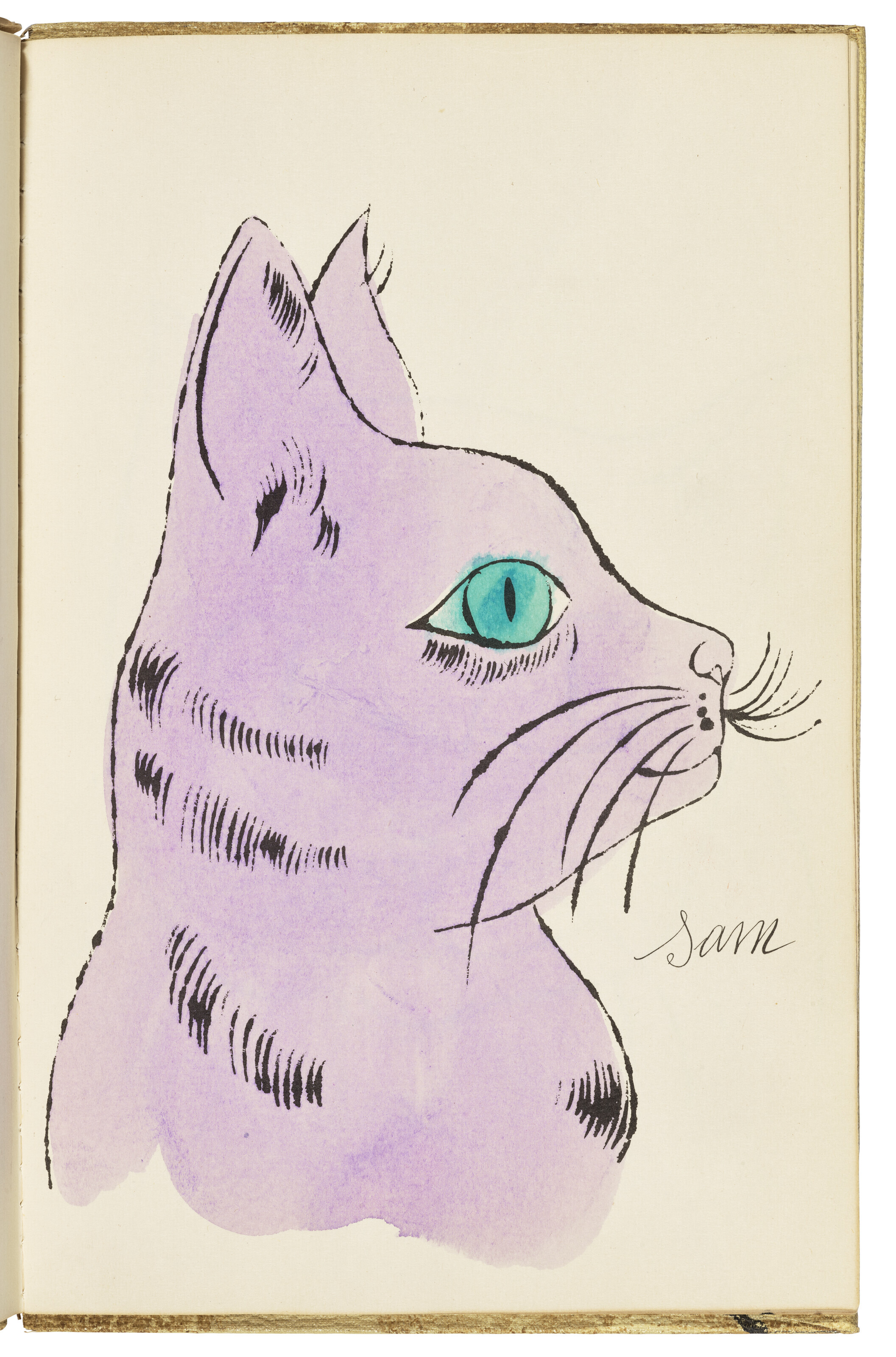 Cat From 