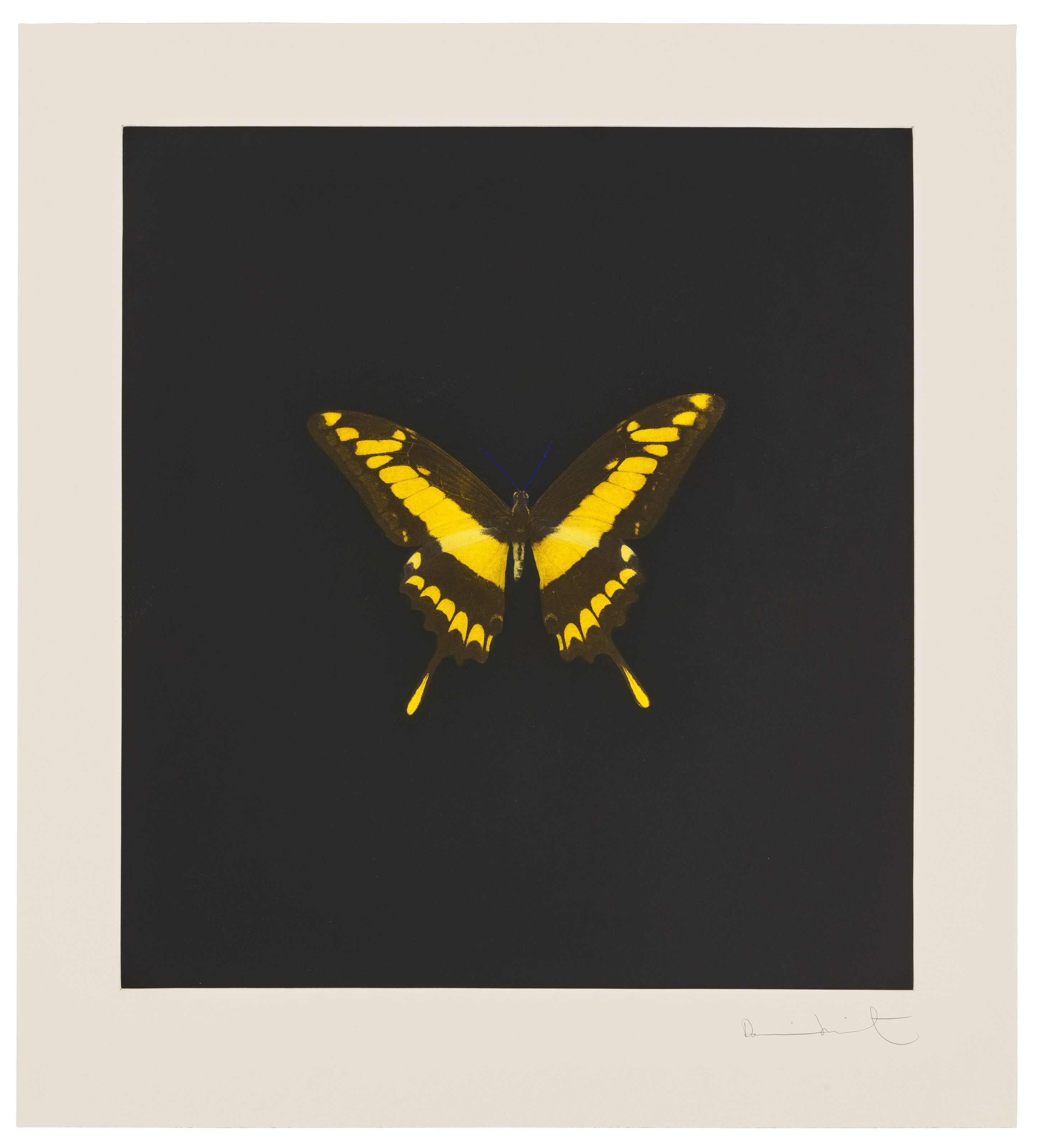 Catalog image of Plate 6, from: The Souls on Jacob's Ladder Take Their Flight