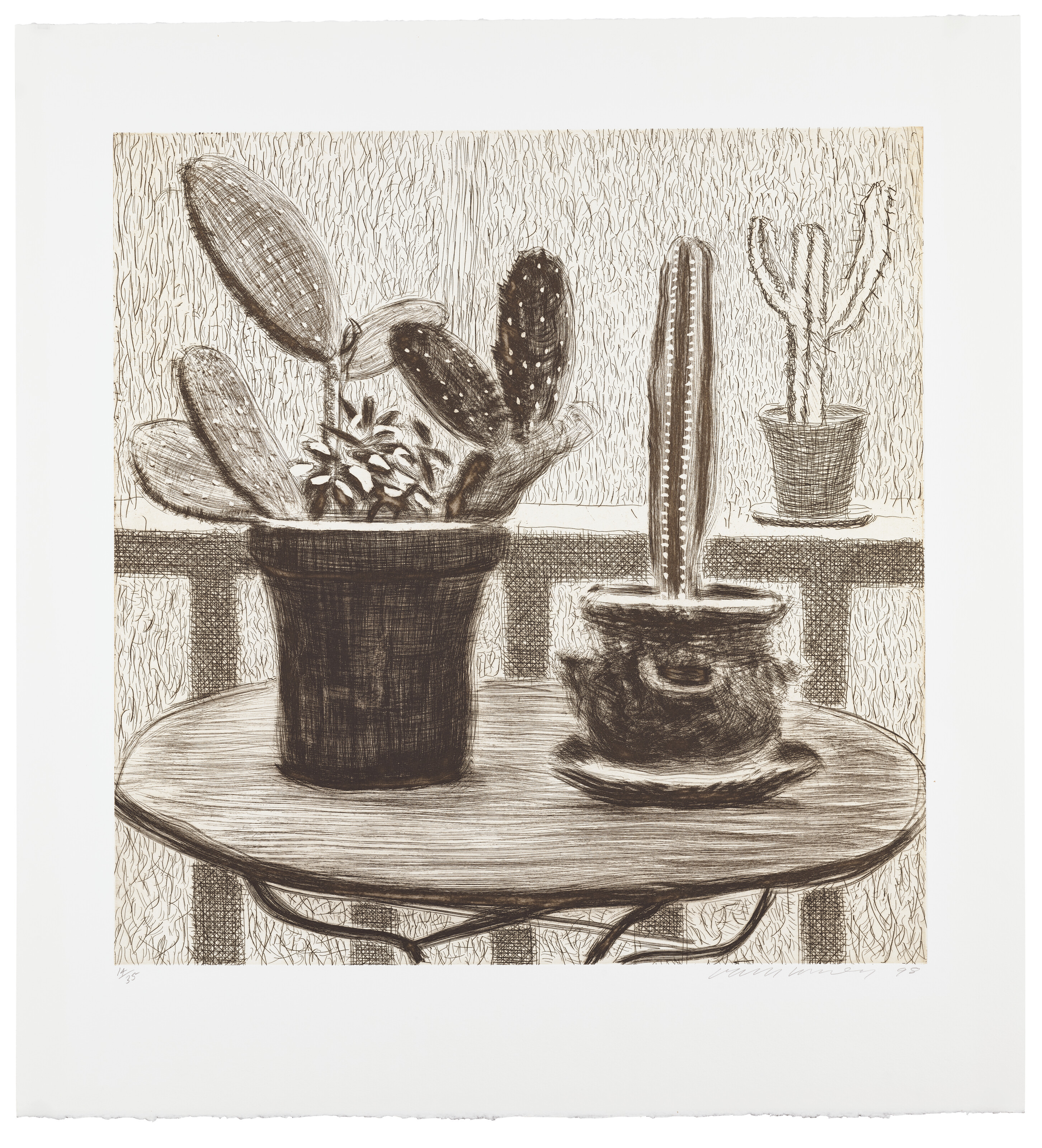 Catalog image of Cacti on Terrace